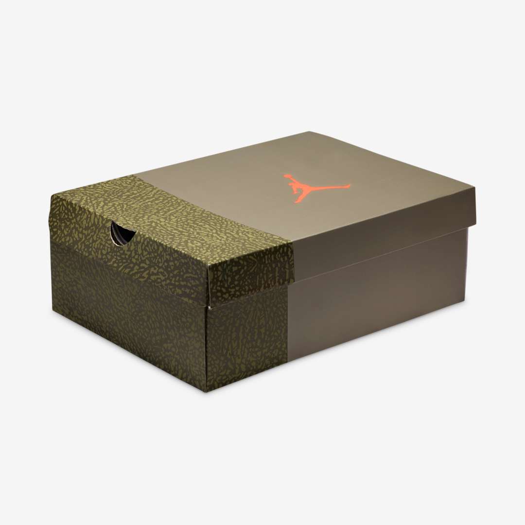 Air Jordan 3 “Family Affair”