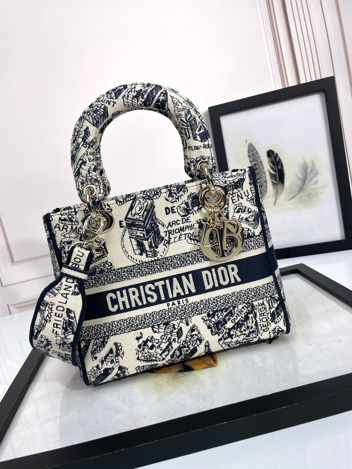 Christian Dior Medium Lady D-Lite Bag - Blue Toile de Jouy Embroidered Canvas Handbag