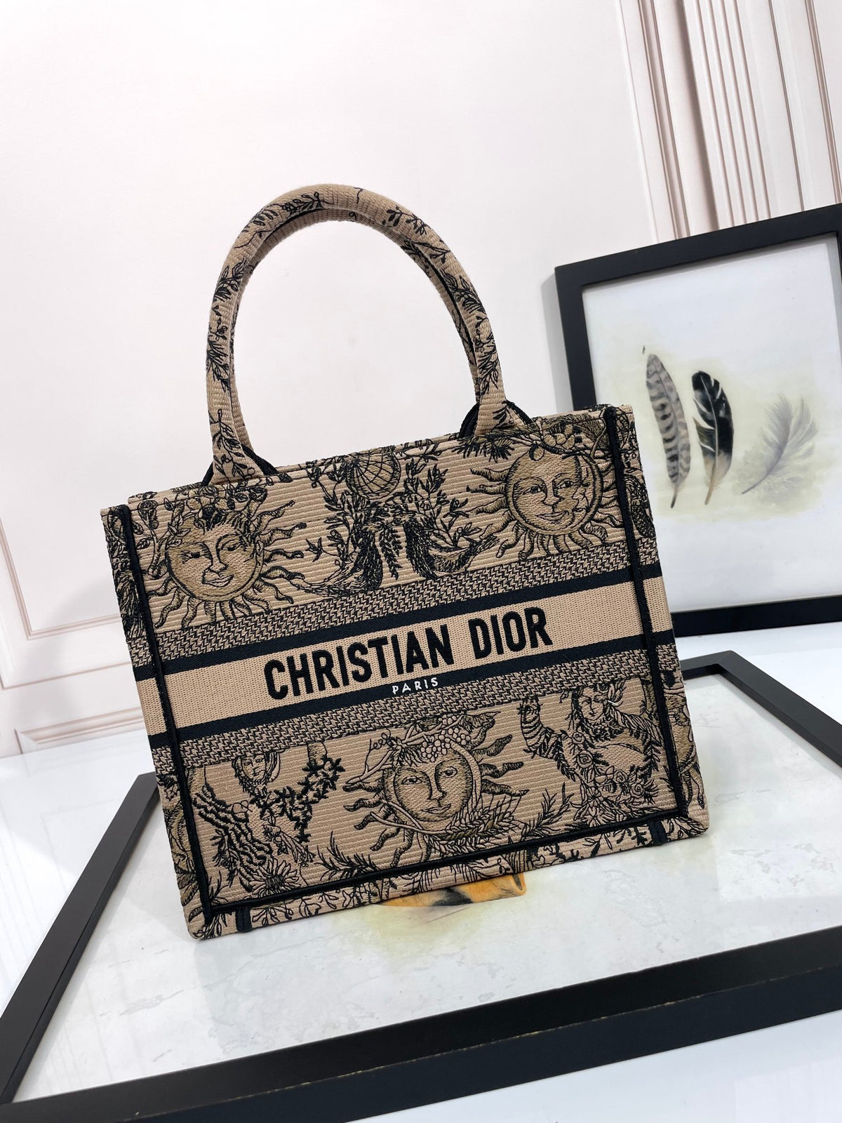 Christian Dior Book Tote Canvas Bag with Celestial Sun Motif