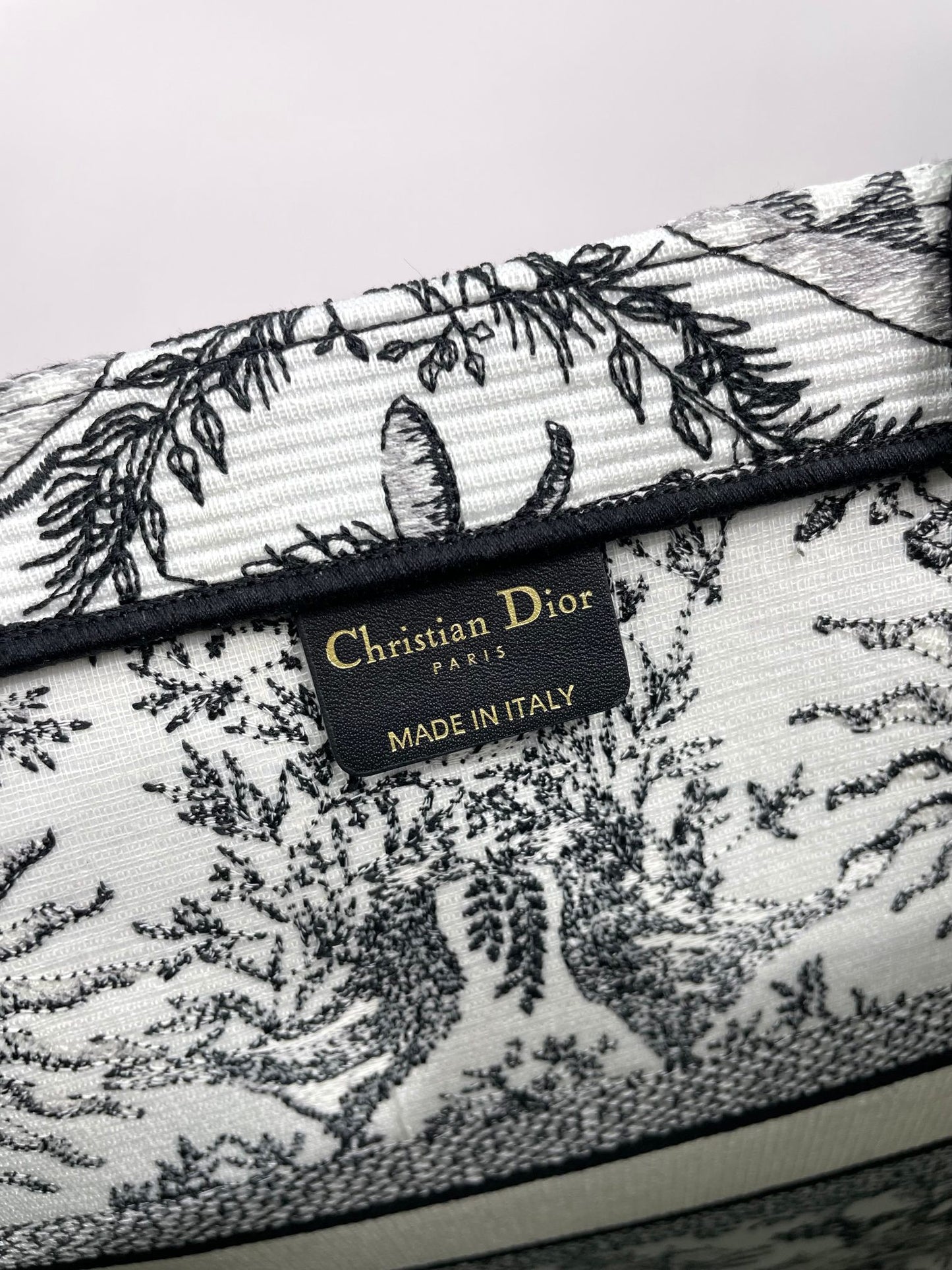 Dior Celestial Sun Embroidered Canvas Tote Bag with Top Handles