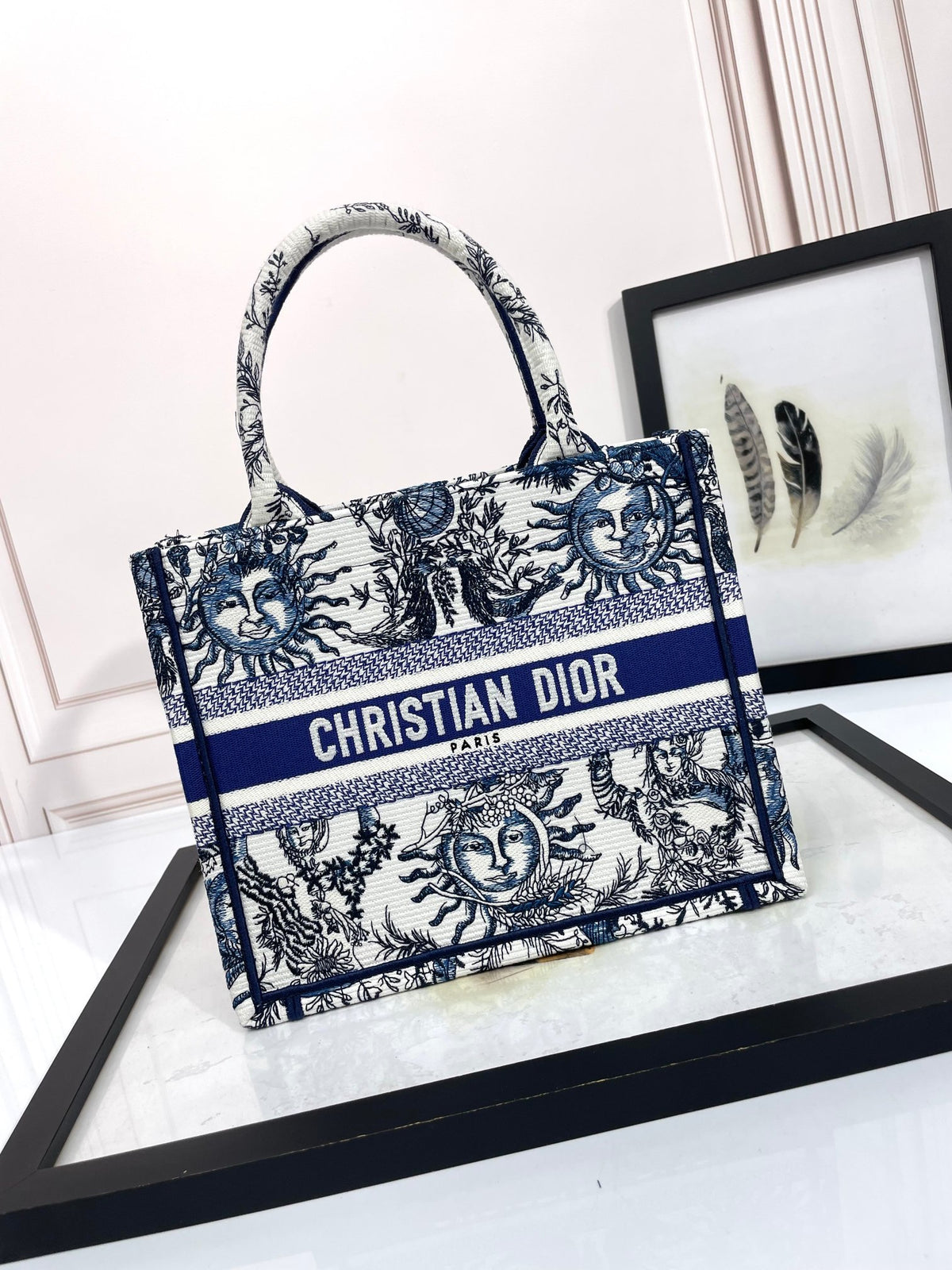Christian Dior Blue & White Celestial Sun Embroidery Book Tote Bag