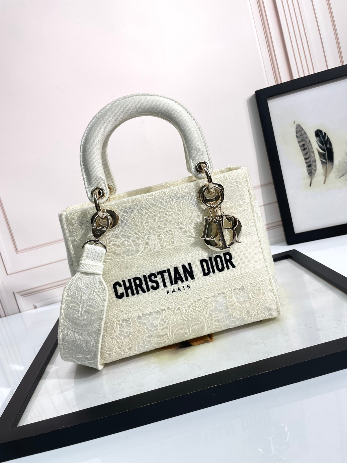 Christian Dior Lady D-Lite Handbag - White Embroidered Canvas