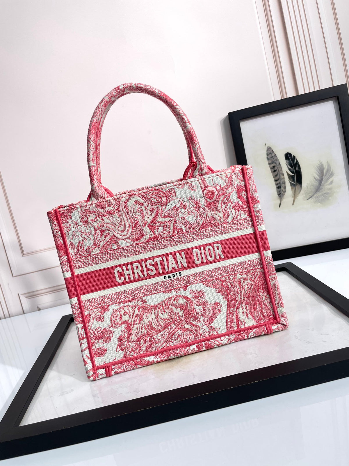 Christian Dior Book Tote Bag Toile de Jouy Red Embroidered Canvas