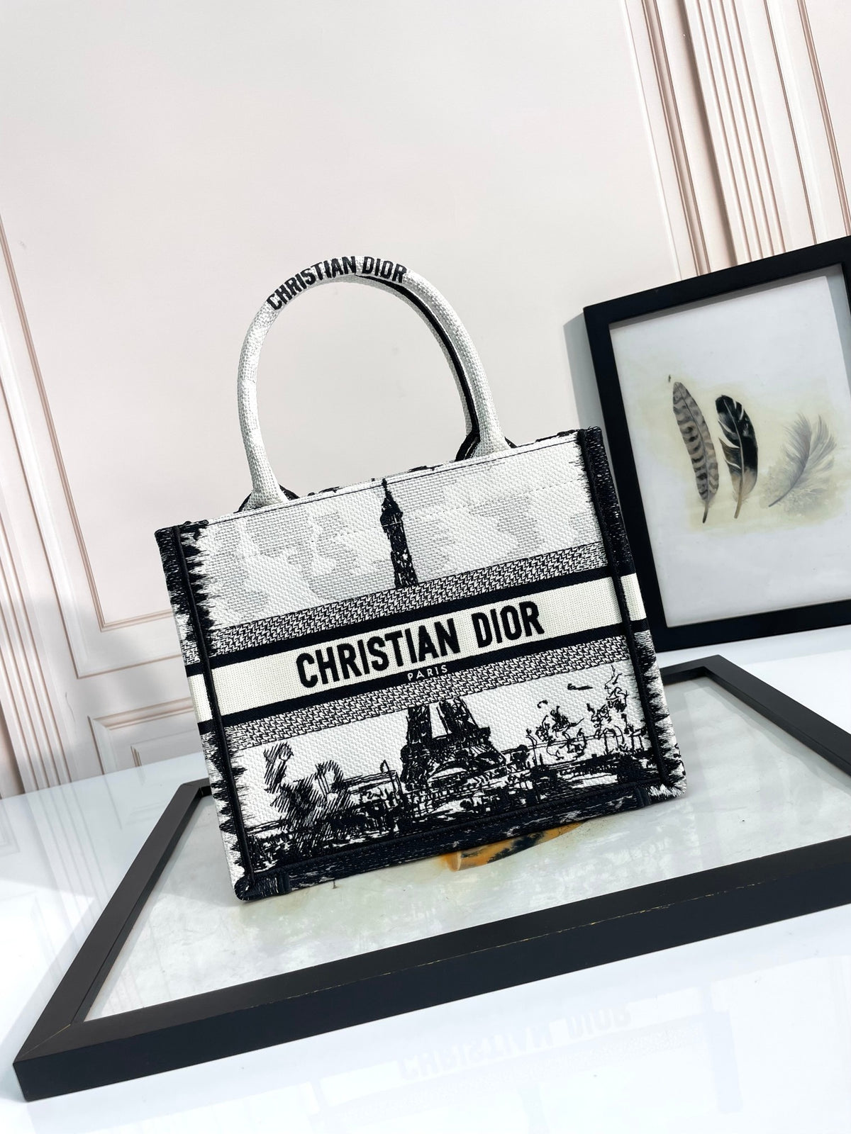 Christian Dior Medium Book Tote Plan de Paris Embroidery Bag - Black and White