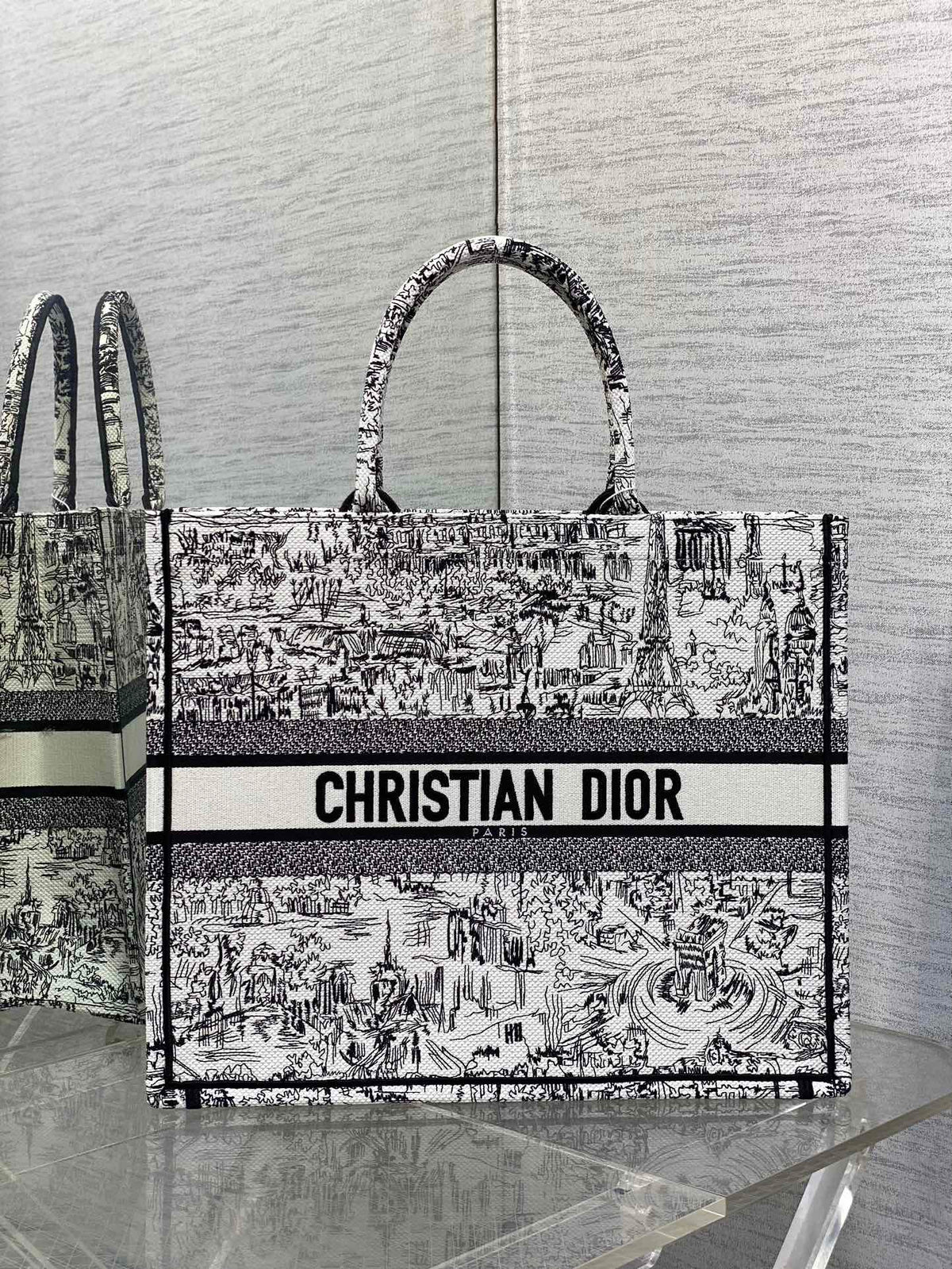 Christian Dior Book Tote Black and White Landscape Embroidery Handbag