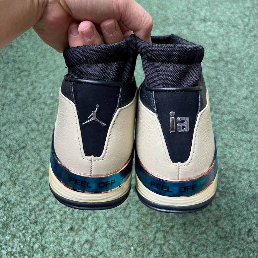 Air Jordan 17 Retro Light Bone Black DV1765-021