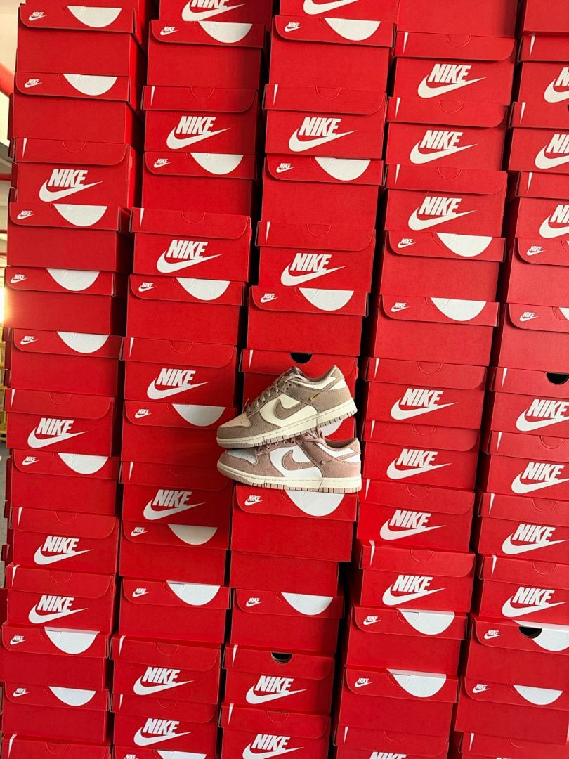 Nike Dunk Low SE Pink Oxford White Sail Gold Charm Women's Sneakers FD0793-600