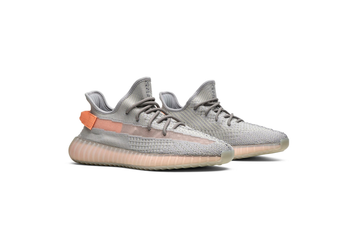 Adidas Yeezy Boost 350 V2 True Form EG7492