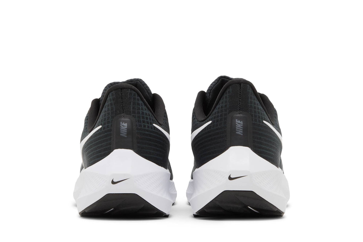 Nike Air Zoom Pegasus 39 'Black/Dark Smoke Gray/White' DH4071-001