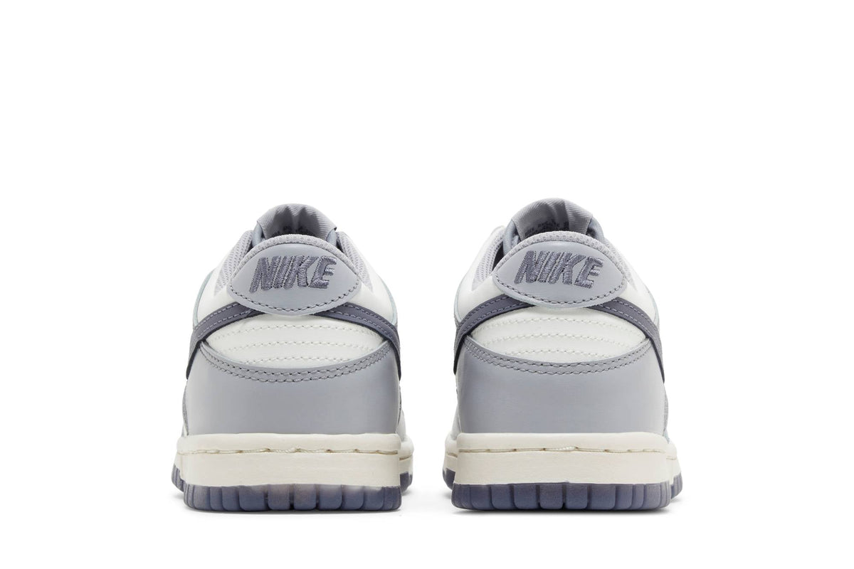( Youth ) Nike Dunk Low 'Platinum Tint Light Carbon' FB9109-101