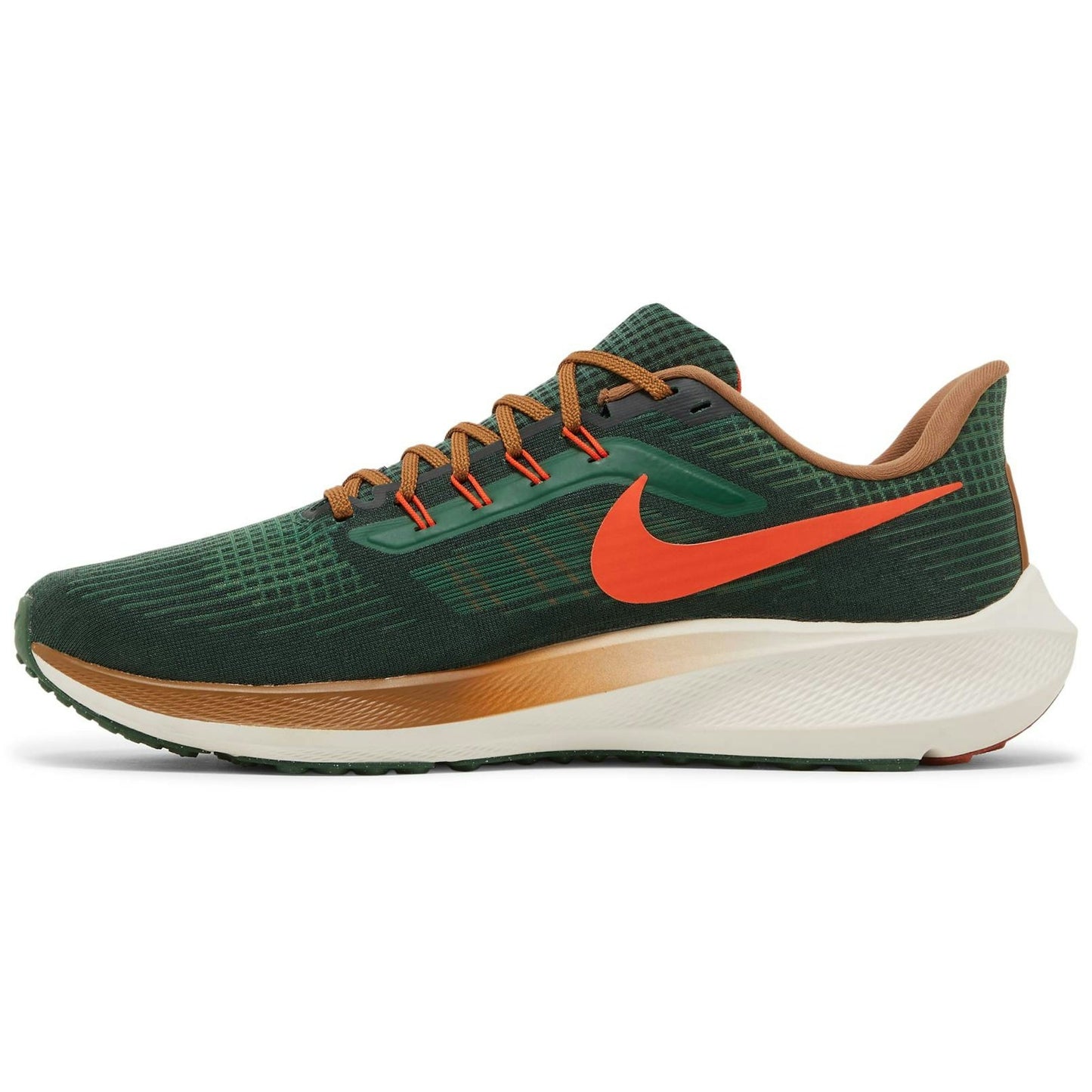 Hola Lou X Nike Air Zoom Pegasus 39 A.I.R. ‘Gorge Green/Yell Brown’ DO9500-300