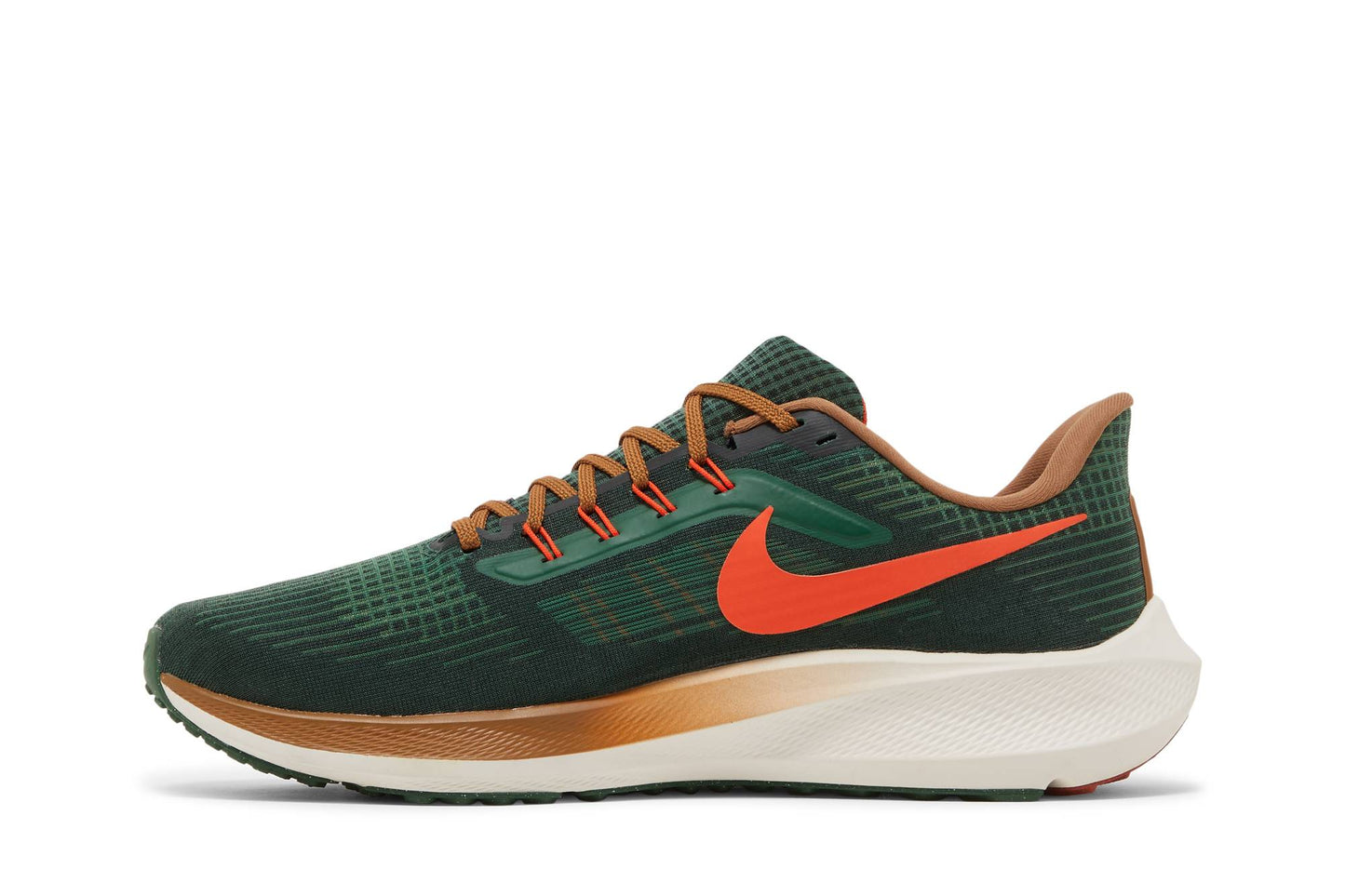 Hola Lou X Nike Air Zoom Pegasus 39 A.I.R. ‘Gorge Green/Yell Brown’ DO9500-300
