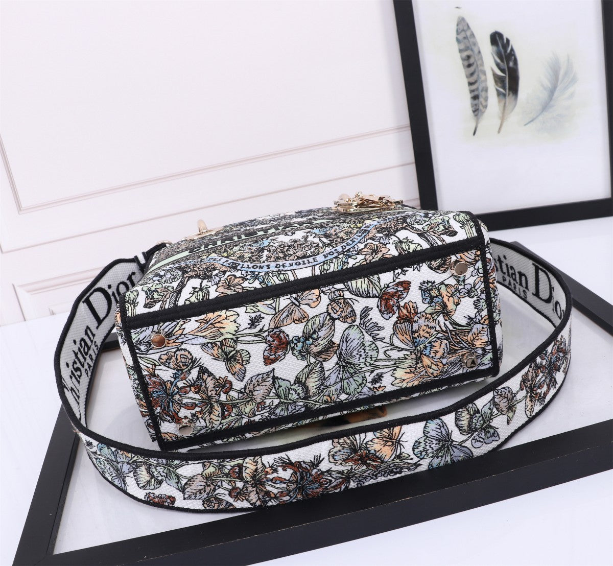 Christian Dior Lady D-Lite Bag with Black and White Embroidery
