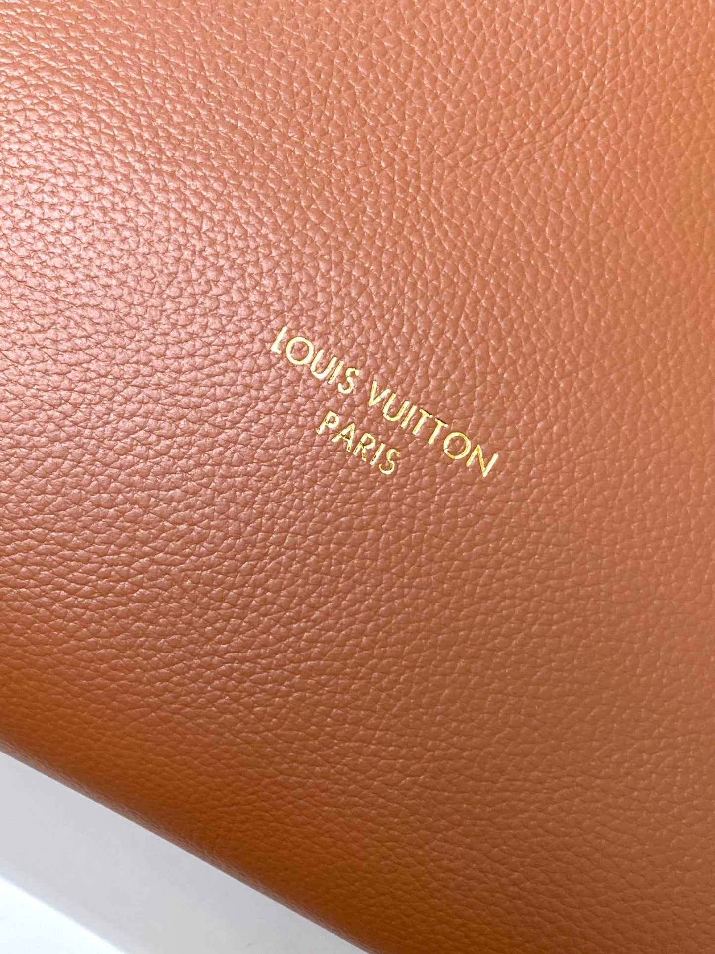 Louis Vuitton Minimalist Cognac Brown Leather Slouchy Hobo Shoulder Bag