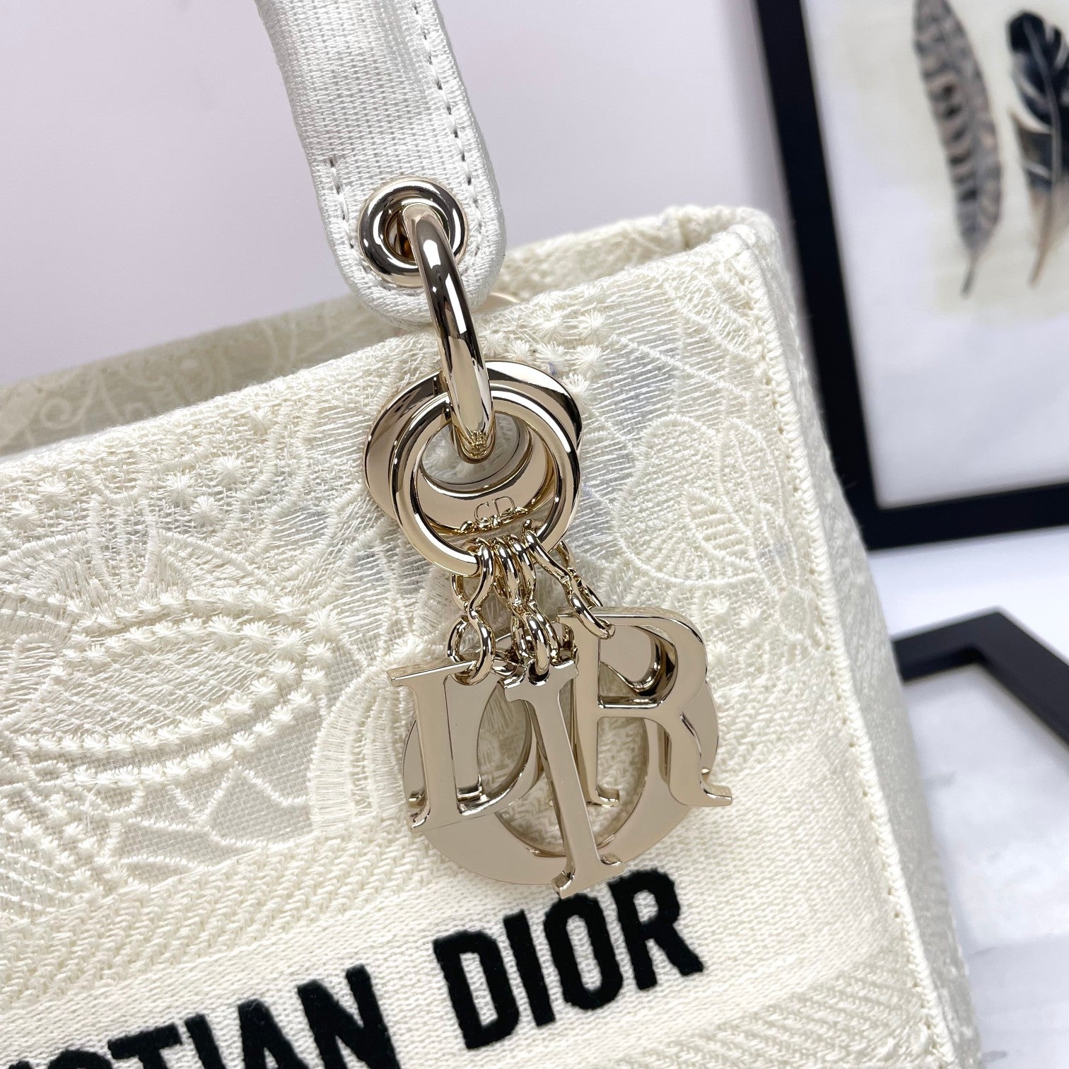 Christian Dior Lady D-Lite White Embroidered Canvas Handbag
