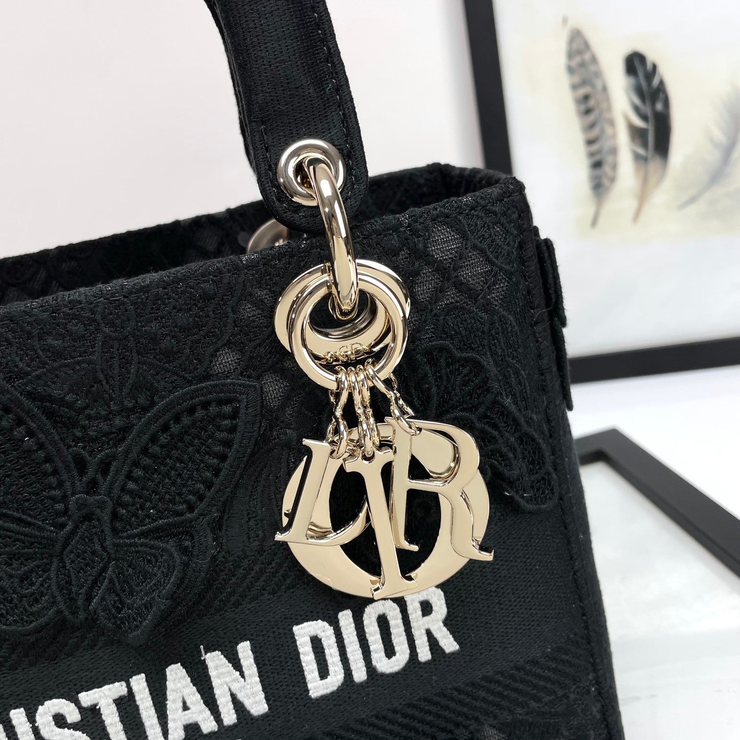 Christian Dior Lady D-Lite Bag - Black Embroidered Canvas Handbag