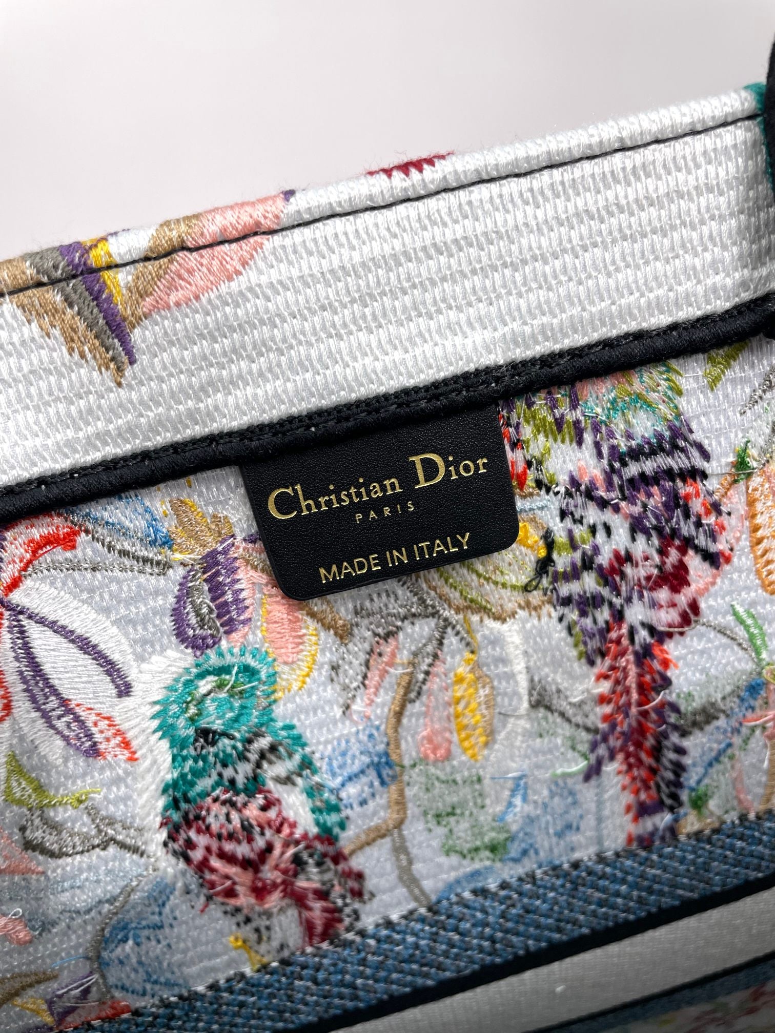 Christian Dior Book Tote Multicolor Butterfly Floral Embroidery Canvas Bag