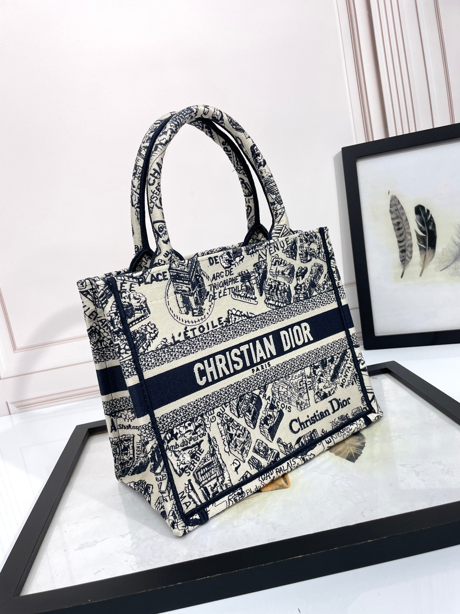 Christian Dior Medium Book Tote Bag - Black and White Plan de Paris Embroidery