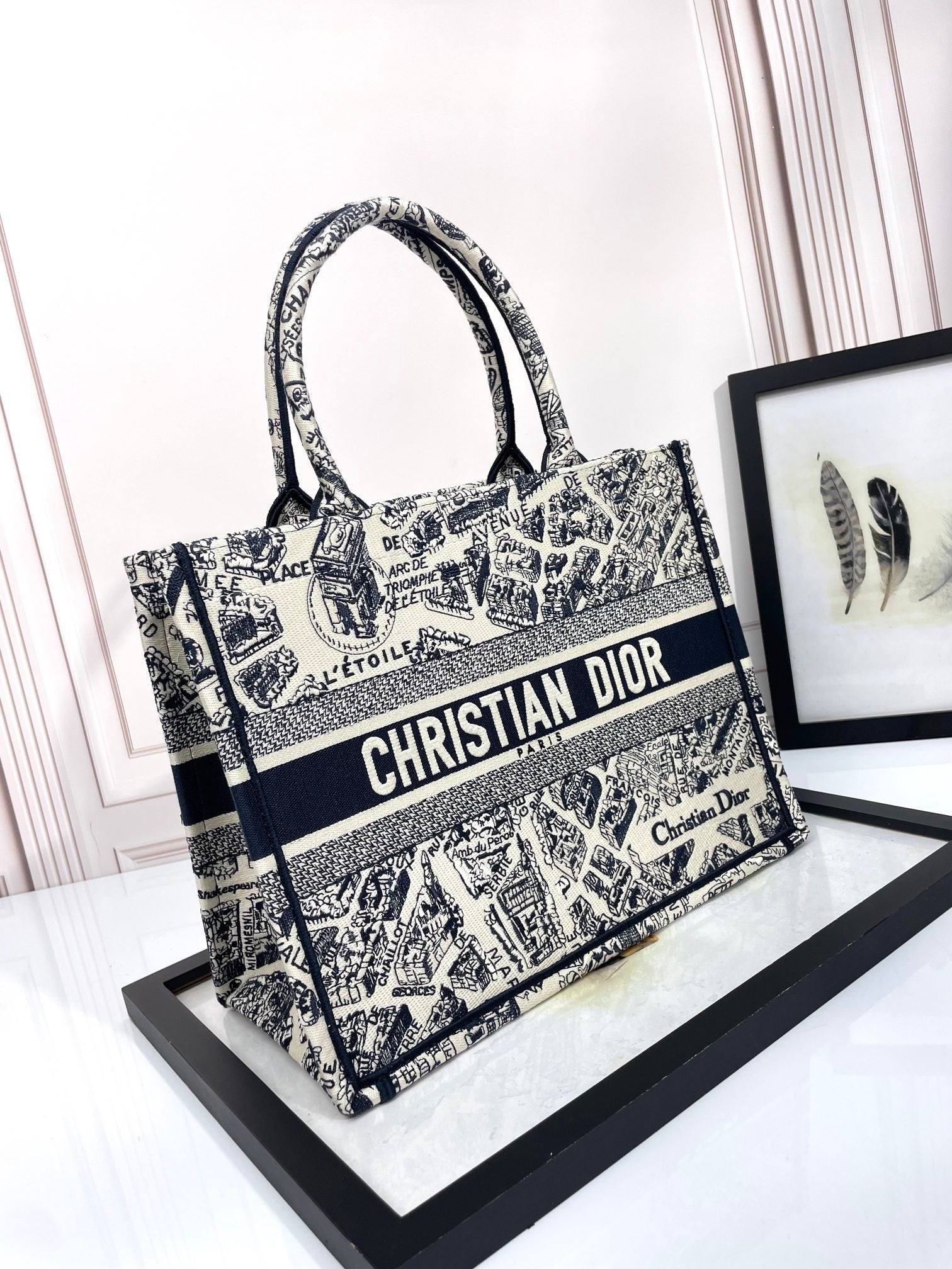 Dior Monochrome Map Pattern Large Canvas Tote Bag with Handles