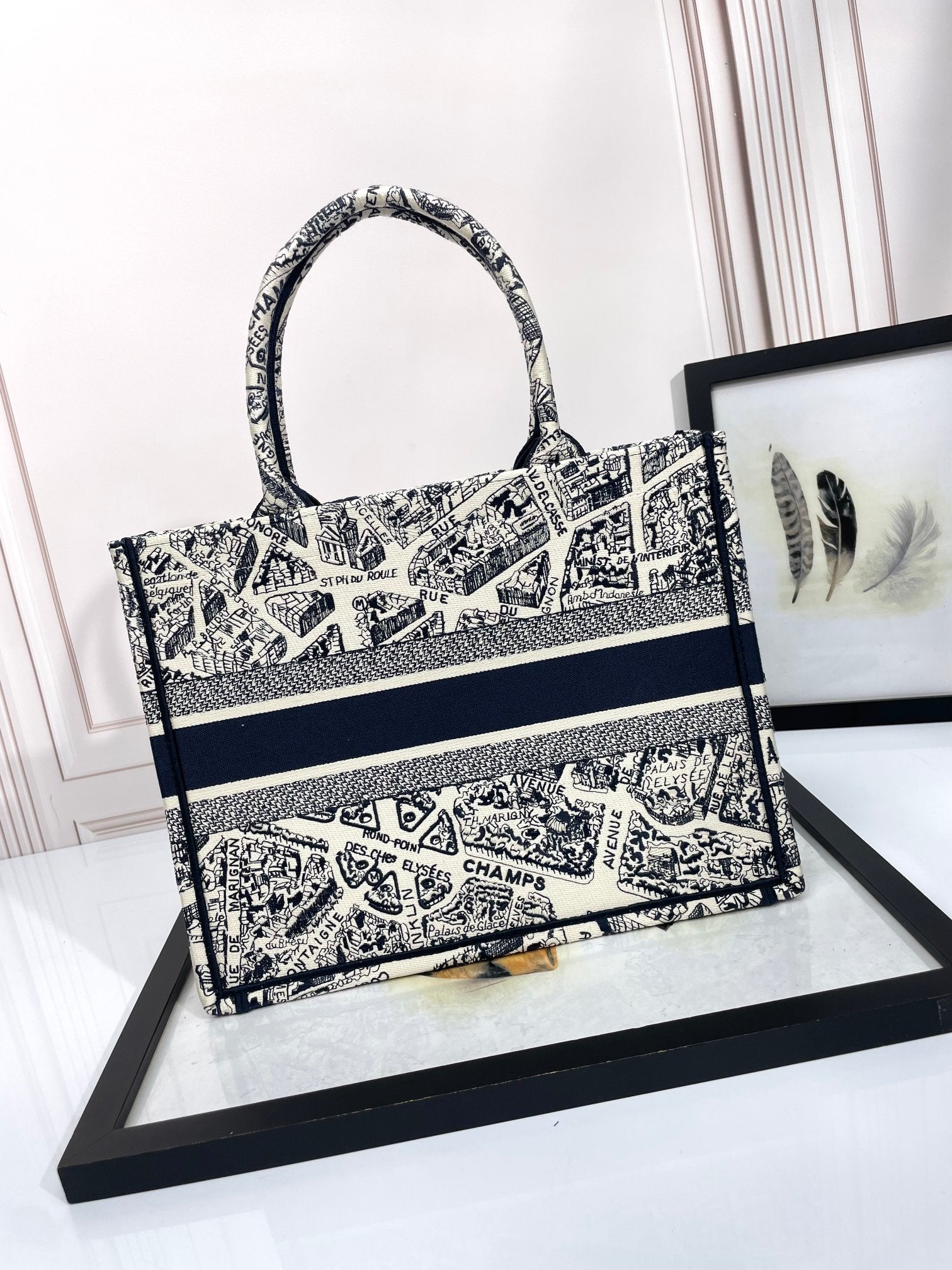 Christian Dior Book Tote Plan de Paris Embroidered Bag