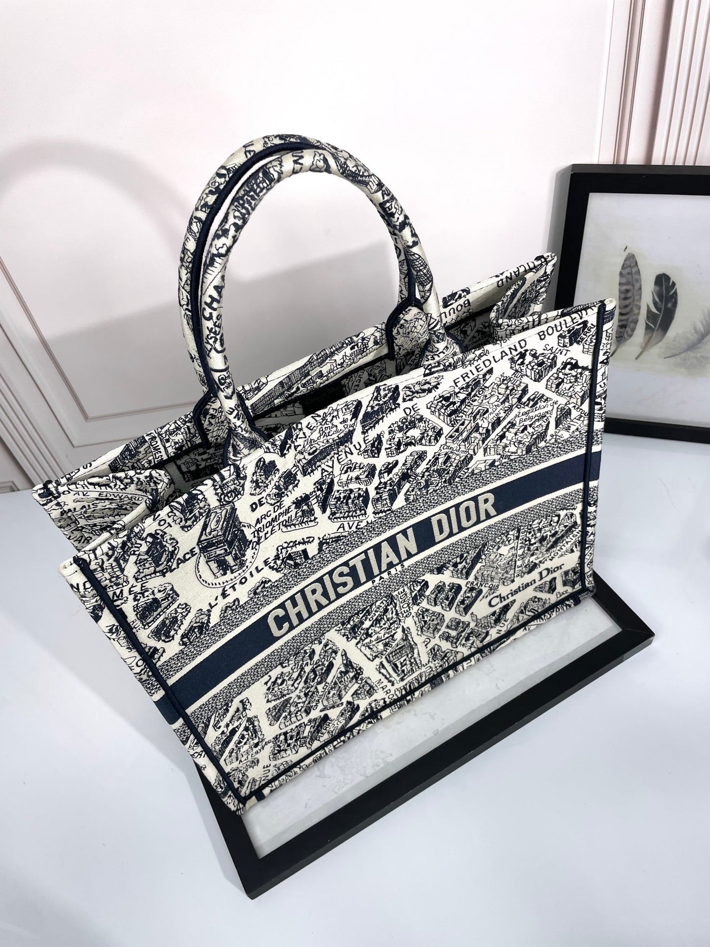 Christian Dior Large Book Tote Bag in Plan de Paris Embroidery - Luxury Designer Handbag