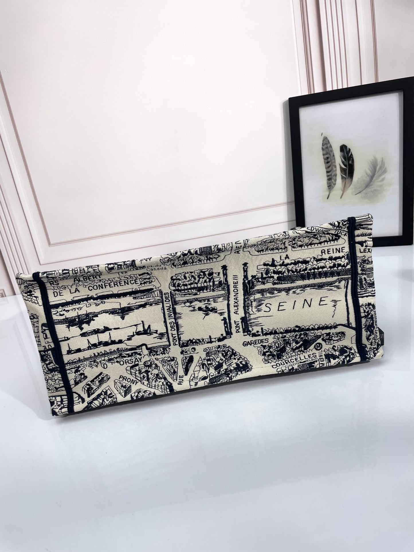 Christian Dior Medium Book Tote Plan de Paris Embroidery Canvas Bag