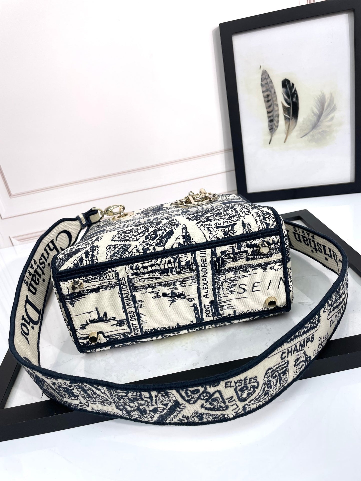 Dior Embroidered Toile Tapestry Canvas Top Handle Bag with Strap