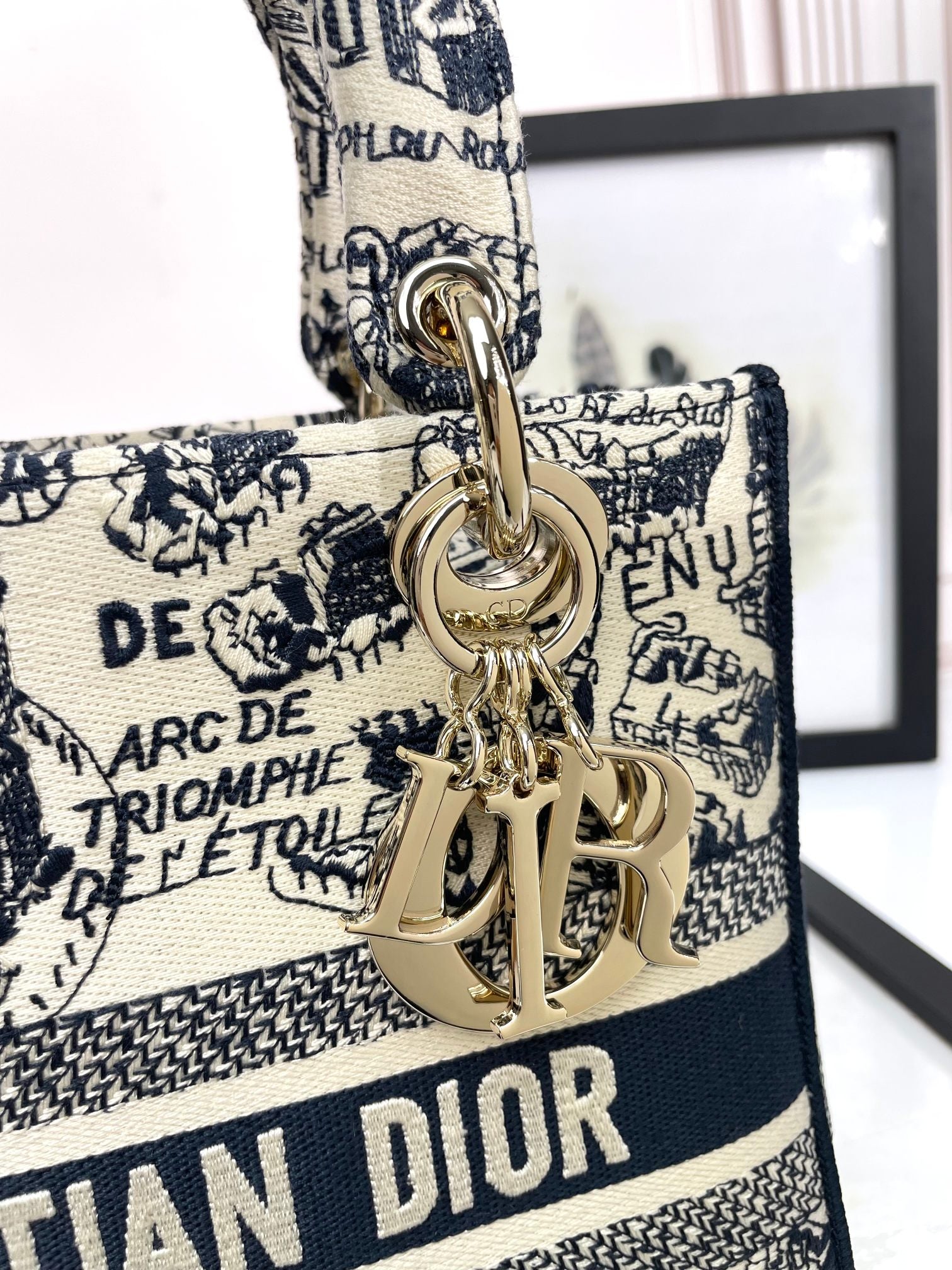 Christian Dior Lady D-Lite Bag - Toile de Jouy Embroidered Handbag