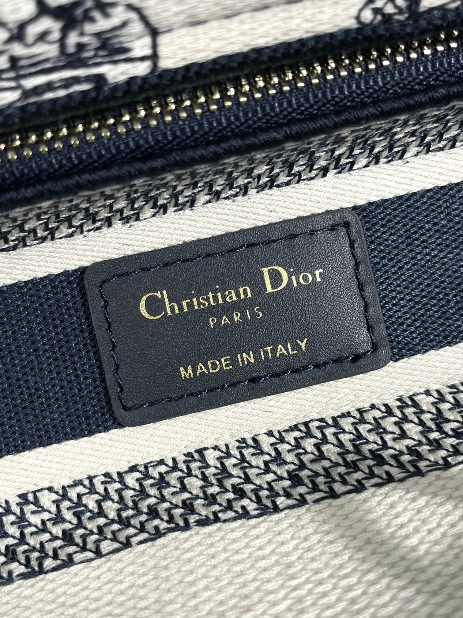 Christian Dior Lady D-Lite Bag - Blue Toile de Jouy Reverse Embroidery