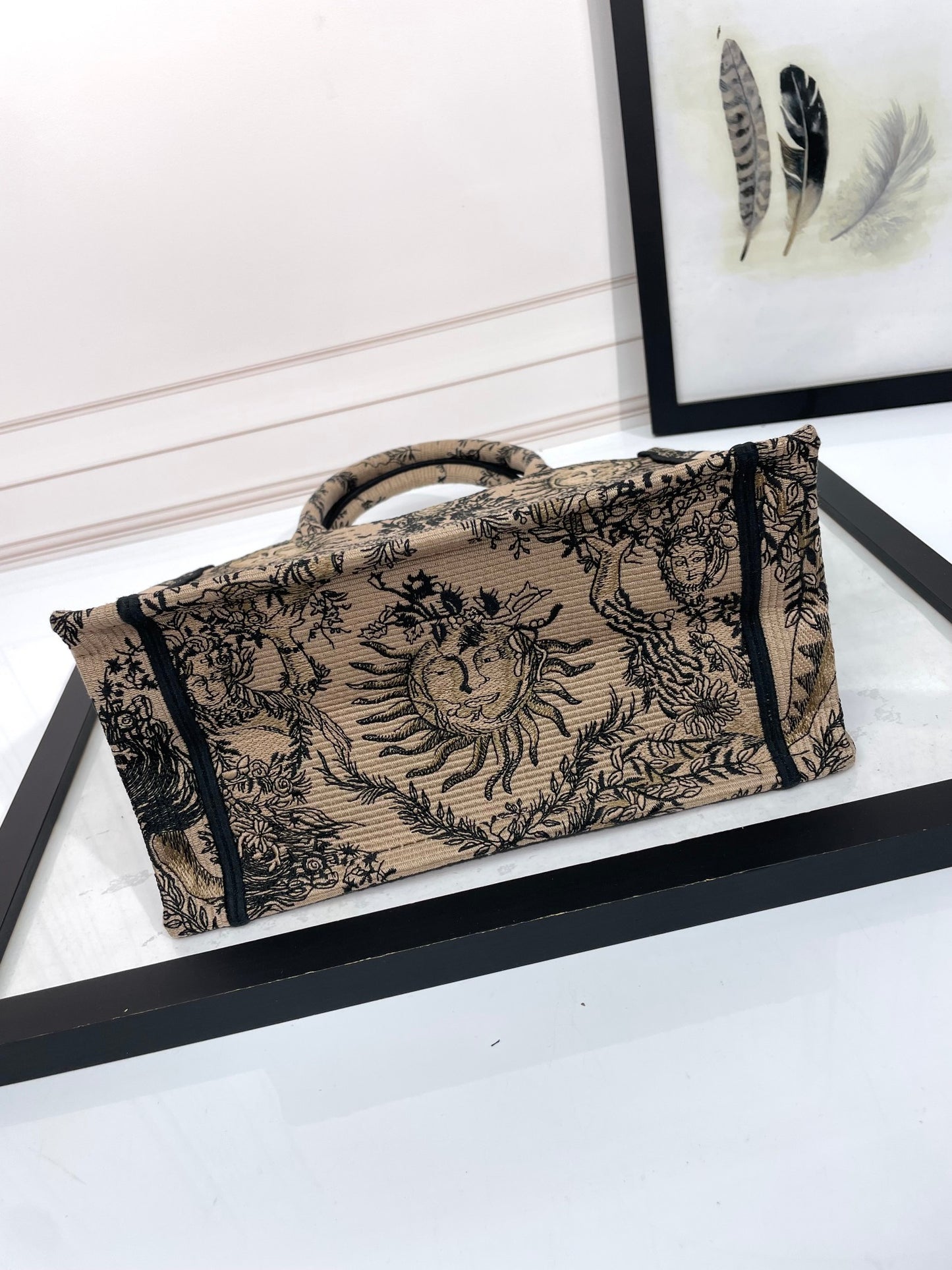 Christian Dior Book Tote Canvas Bag with Celestial Sun Motif