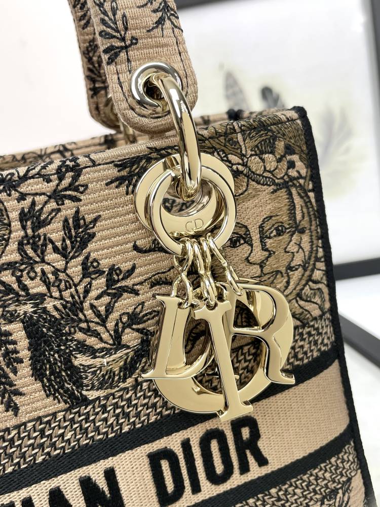 Dior Embroidered Canvas Handbag with Astrological Sun Pattern