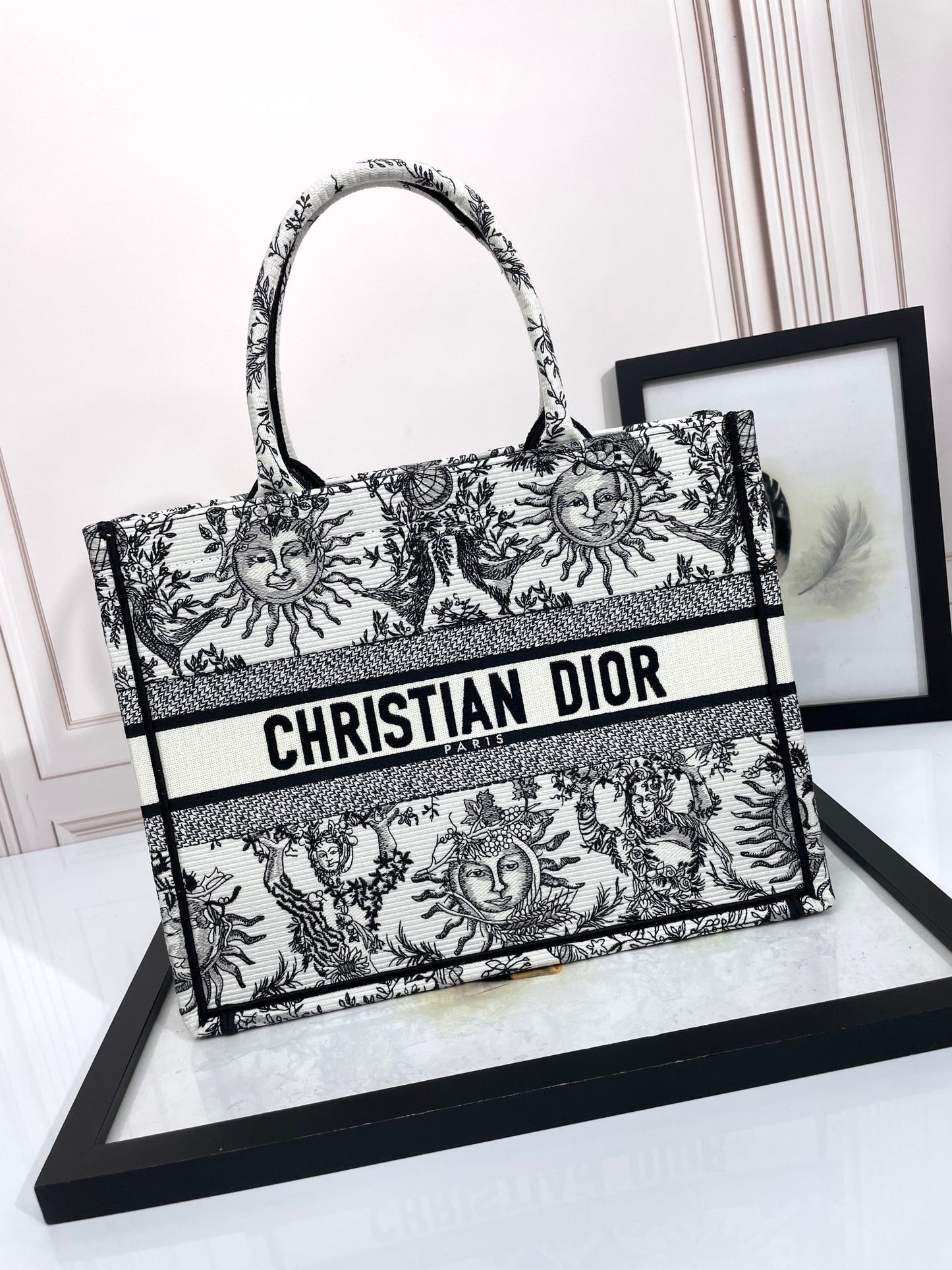 Christian Dior Medium Book Tote Bag - Black and White Sun Embroidered Canvas