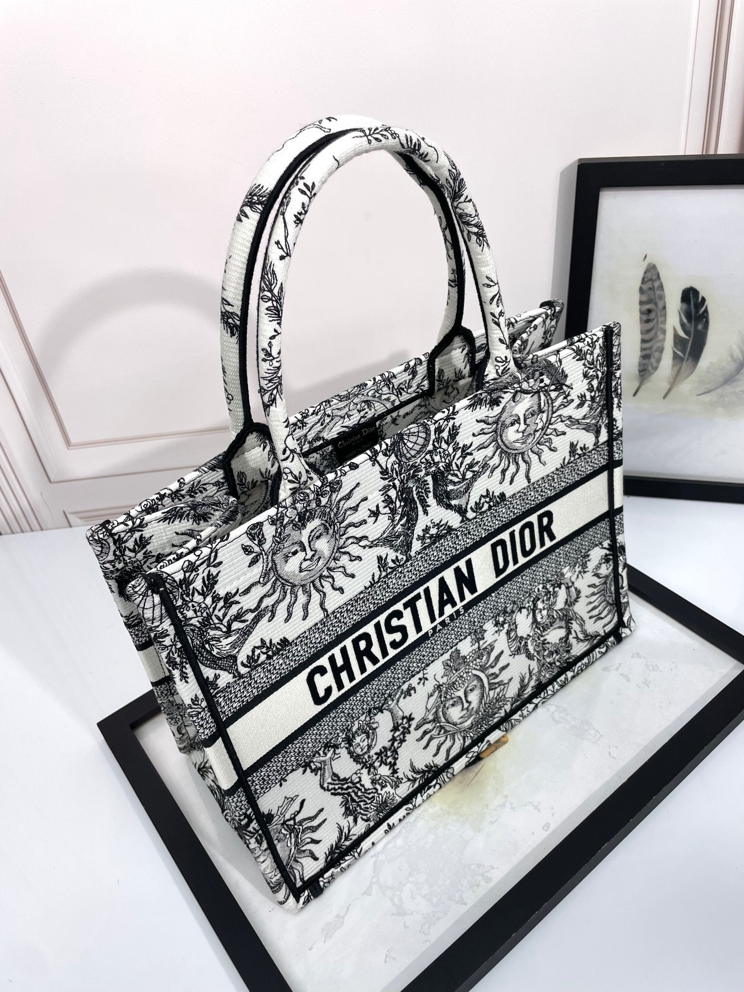 Christian Dior Medium Book Tote Bag - Black and White Sun Embroidered Canvas