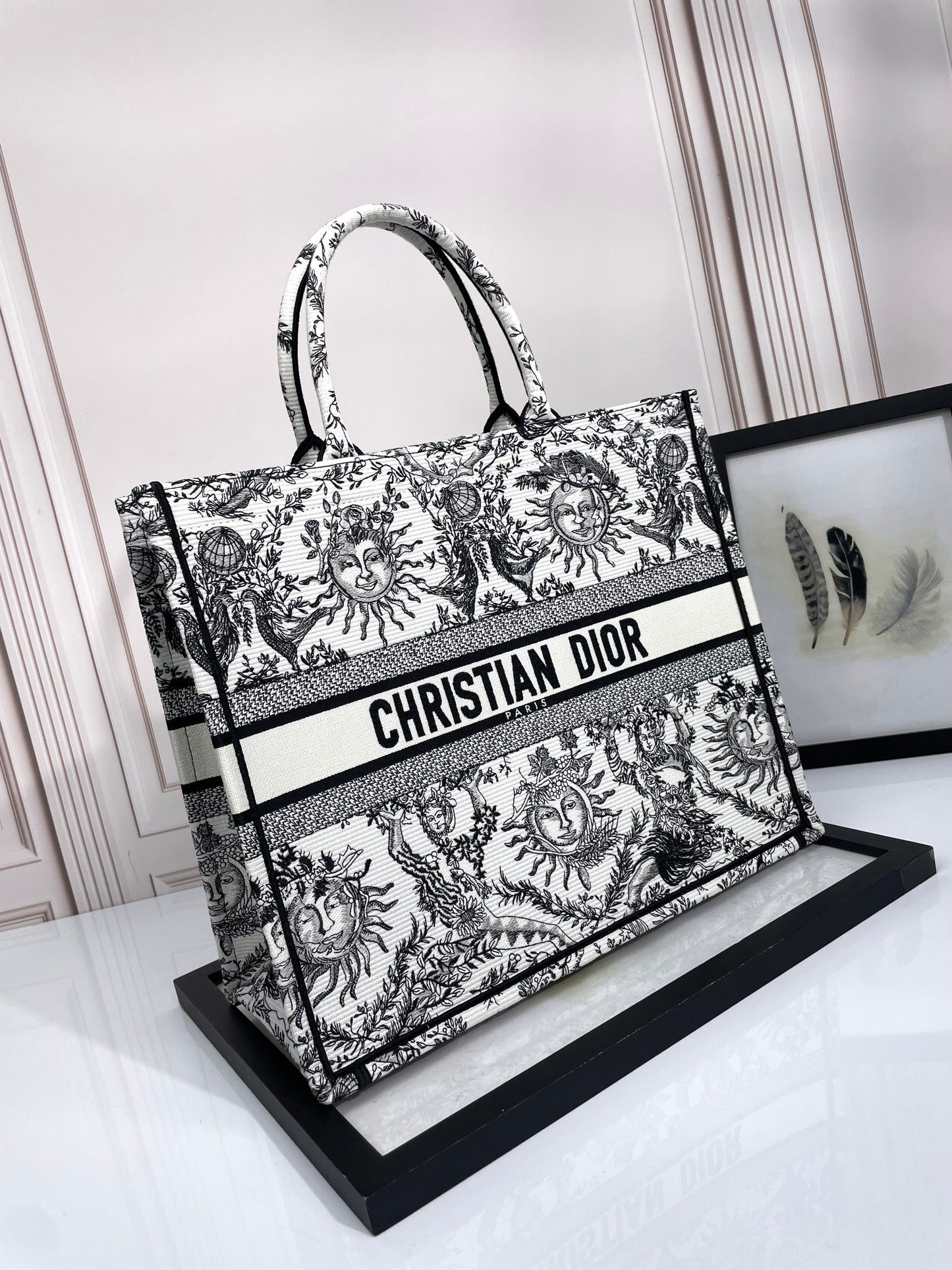 Dior Celestial Sun Embroidered Canvas Tote Bag with Top Handles