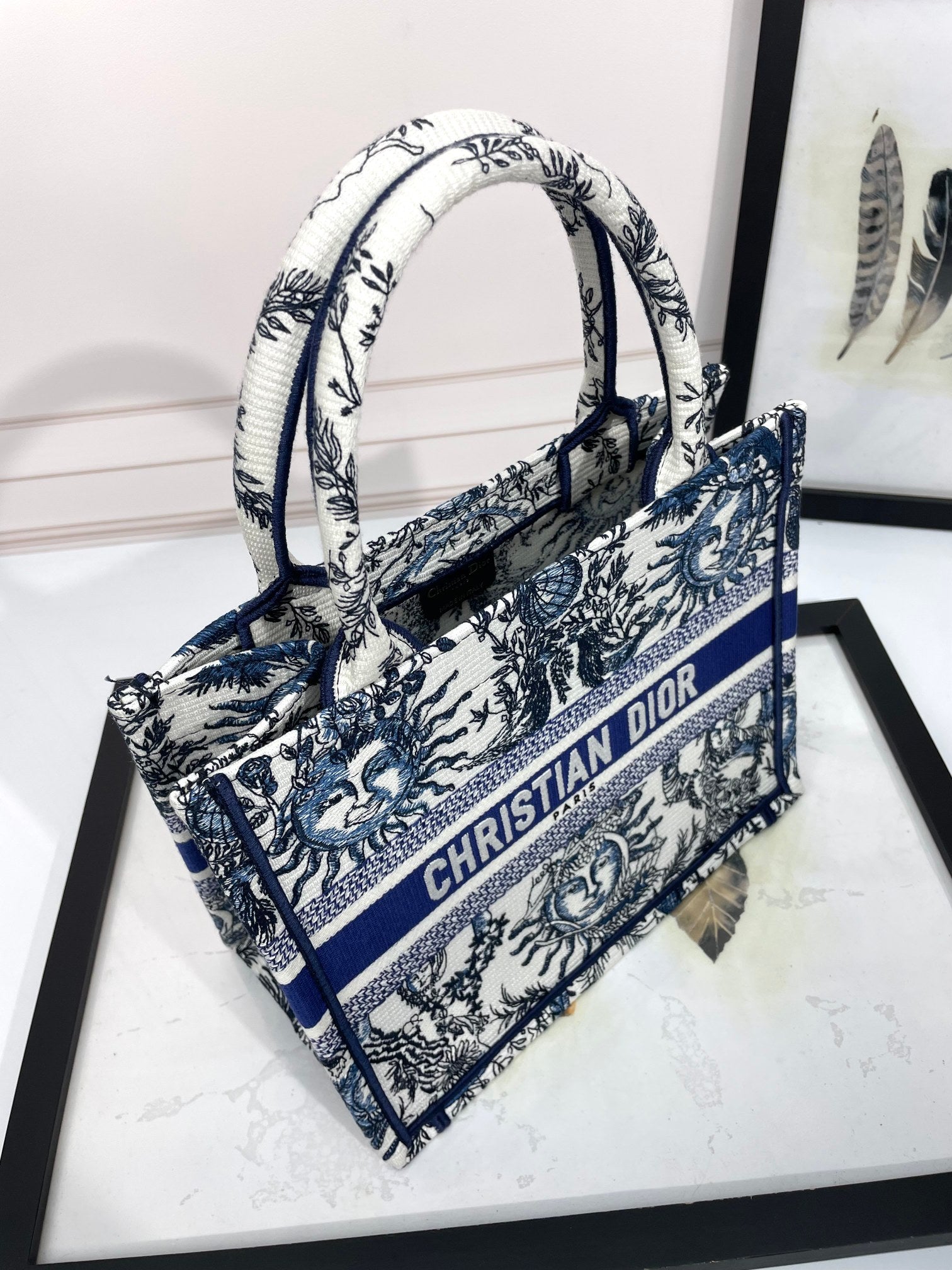 Christian Dior Blue & White Celestial Sun Embroidery Book Tote Bag