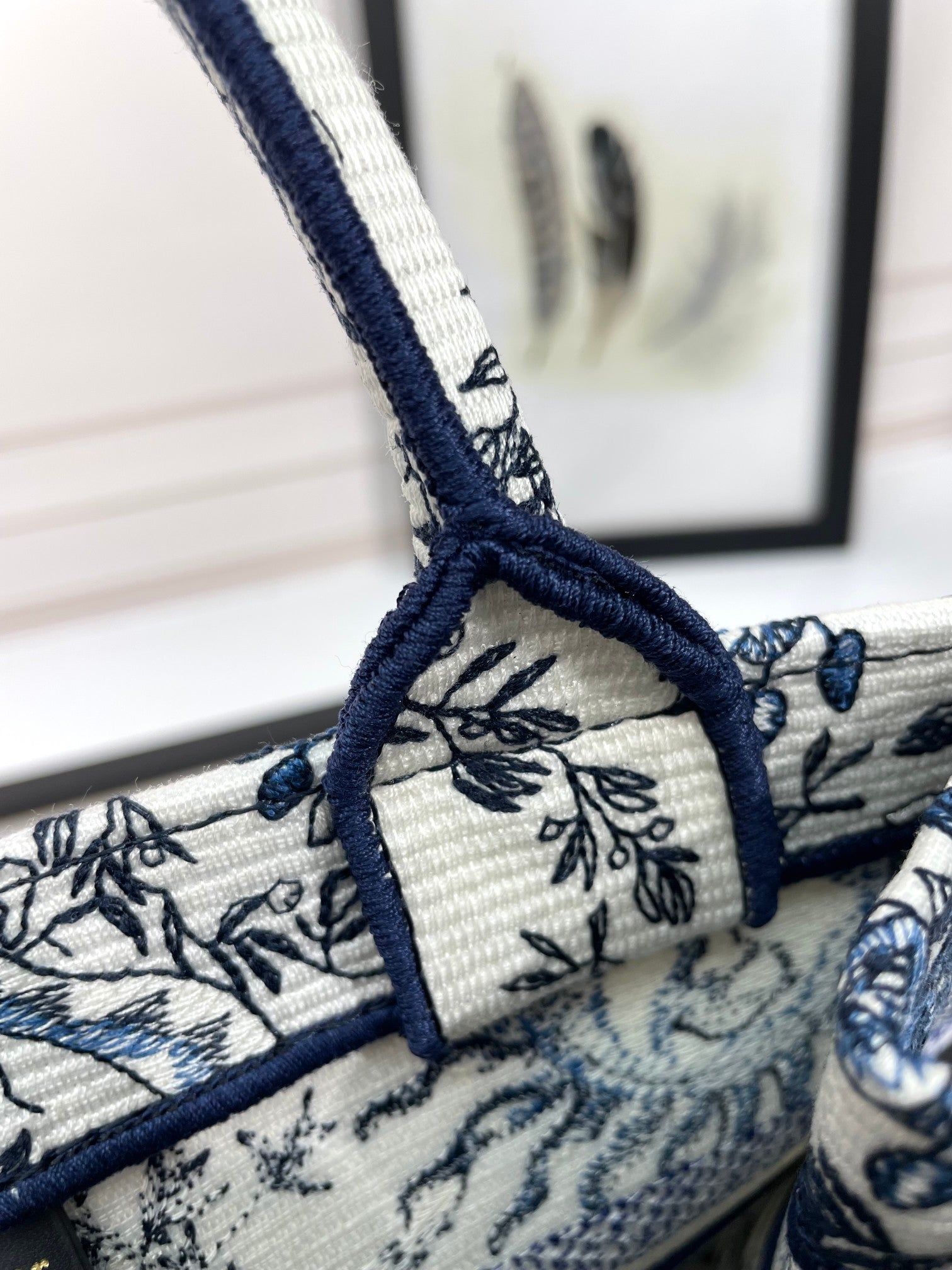 Christian Dior Blue & White Celestial Sun Embroidery Book Tote Bag