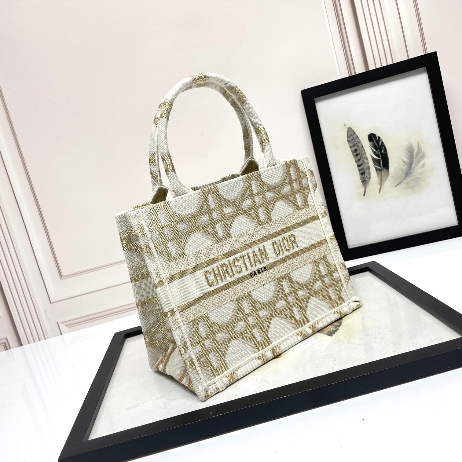 Christian Dior Book Tote Bag - Gold and Beige Plan de Paris Embroidery