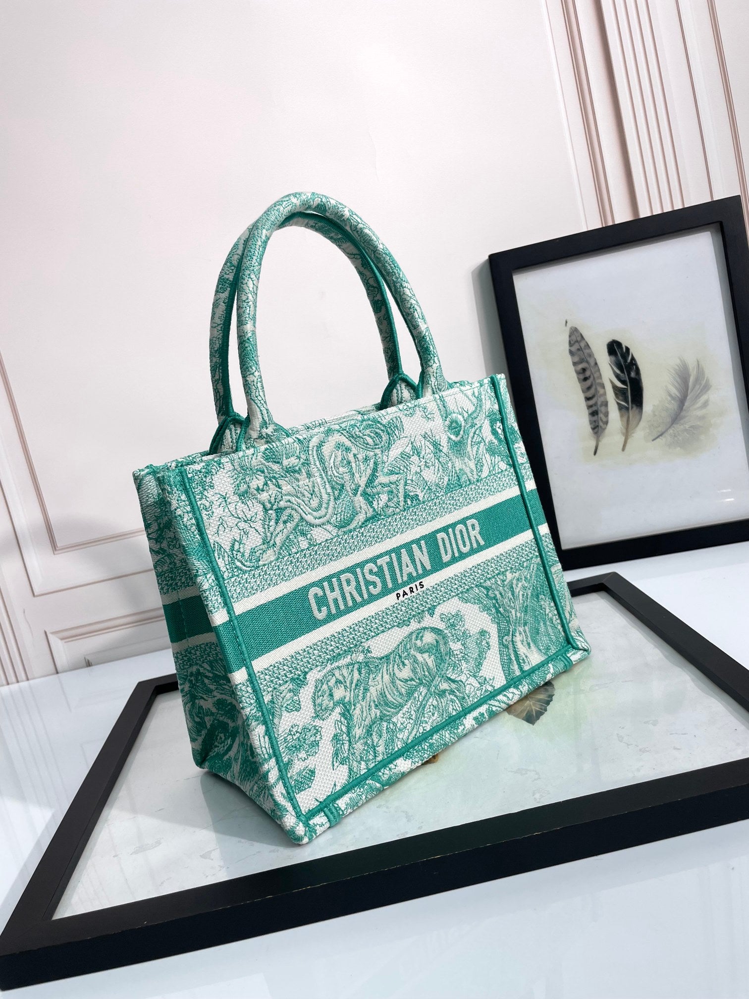 Christian Dior Book Tote Bag - Green and White Toile de Jouy Embroidered Canvas