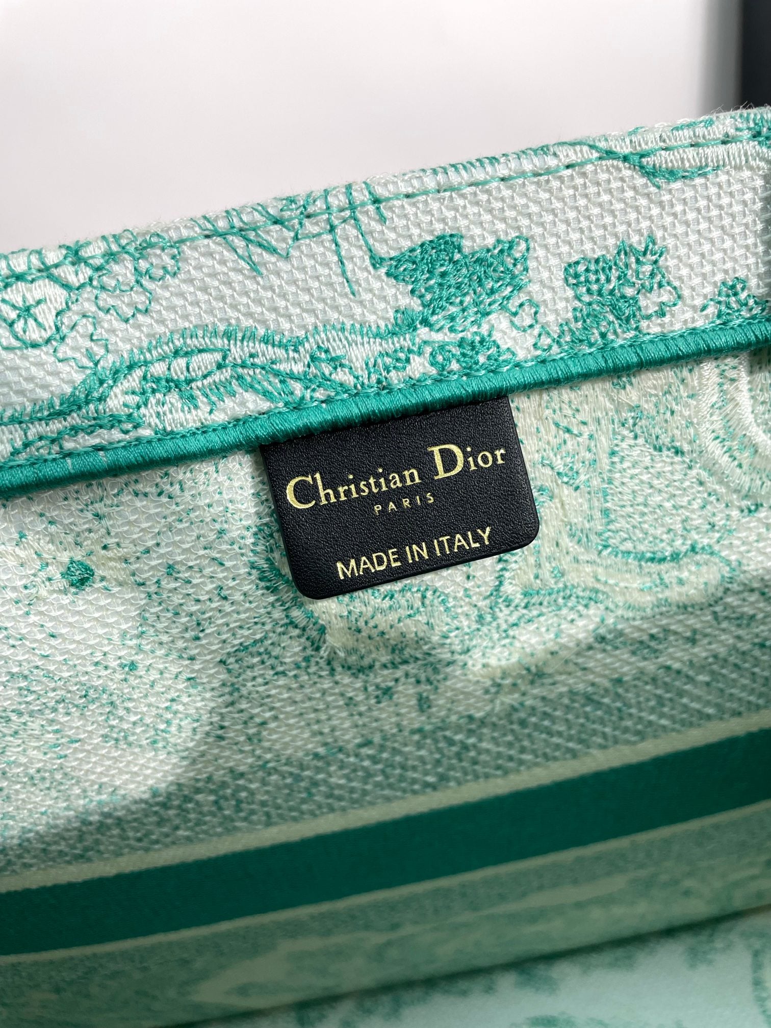 Christian Dior Medium Book Tote - Green Toile de Jouy Embroidered Canvas