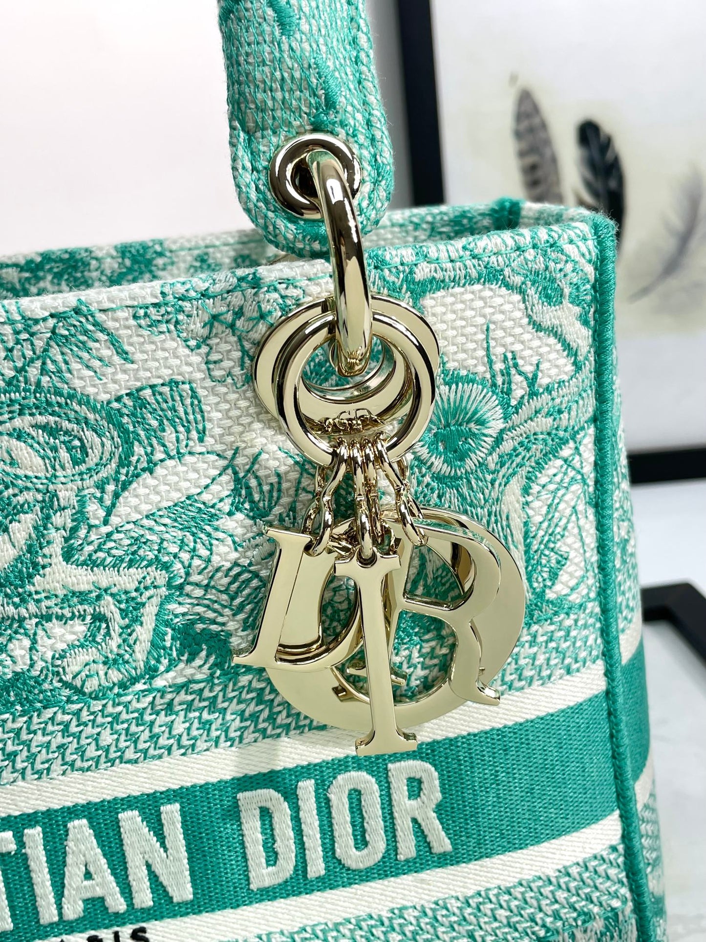 Dior Green Toile de Jouy Embroidered Canvas Top Handle Handbag