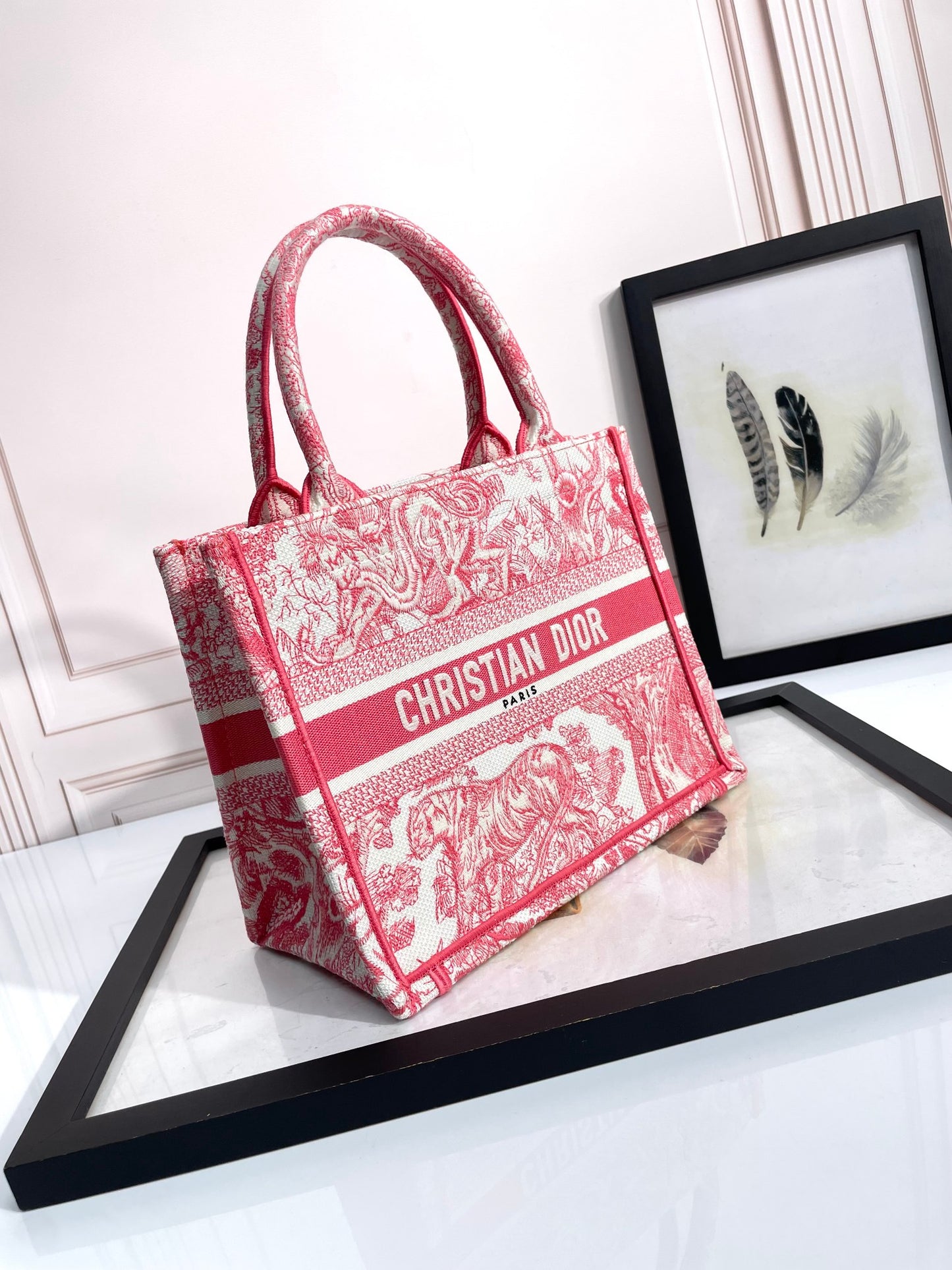 Christian Dior Medium Book Tote Pink Toile de Jouy Embroidery
