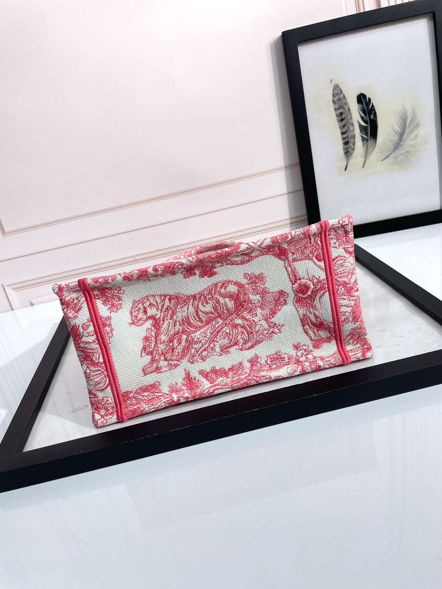 Christian Dior Book Tote Bag Toile de Jouy Red Embroidered Canvas