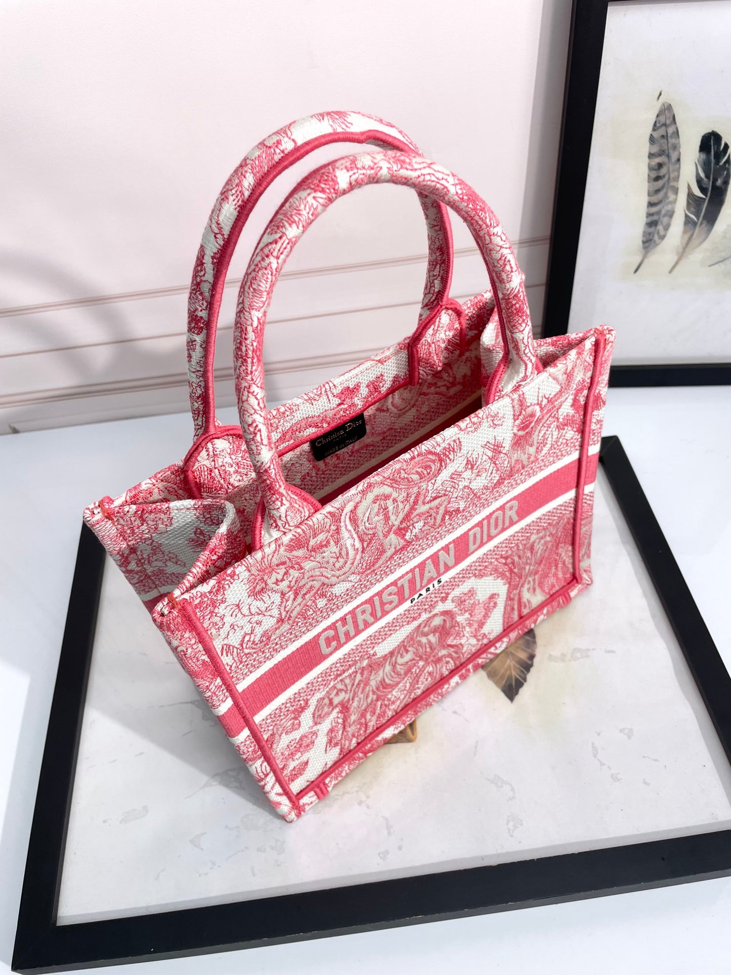 Dior Red and White Toile Embroidered Canvas Top Handle Tote Bag