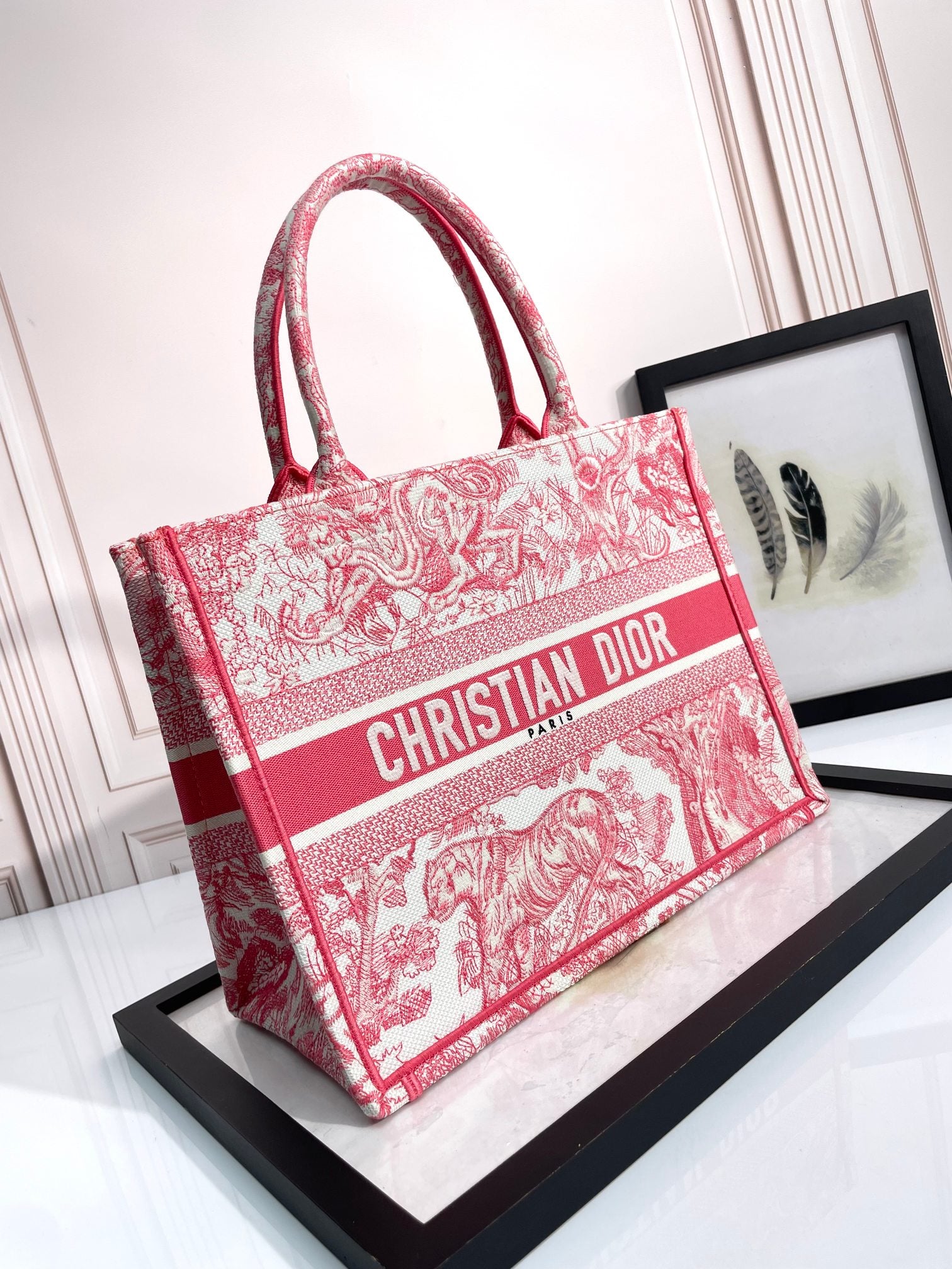 Dior Red Toile de Jouy Pattern Canvas Tote Bag Embroidered Top Handle Handbag