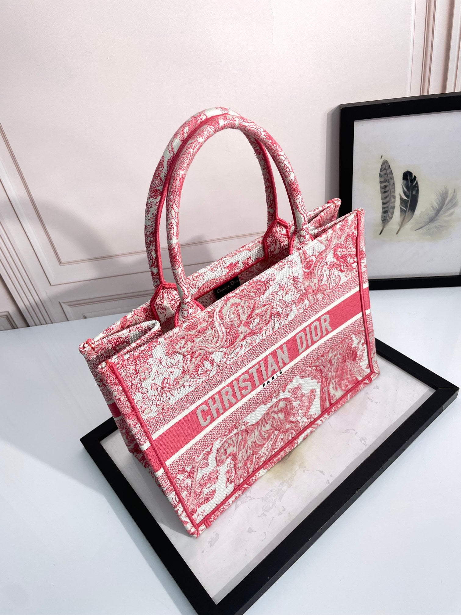 Christian Dior Book Tote Red Toile de Jouy Embroidered Canvas Bag