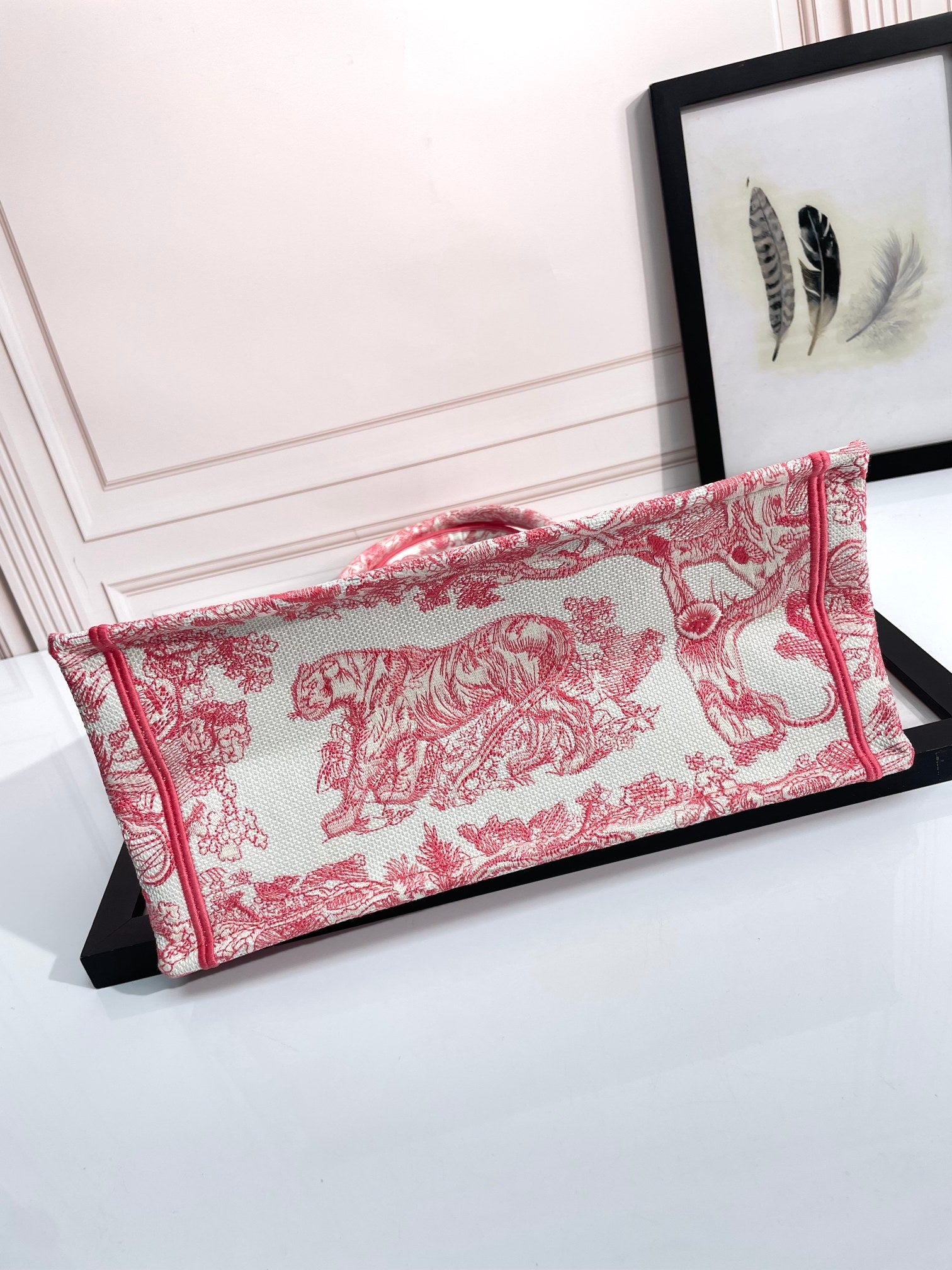 Christian Dior Medium Book Tote - Red Toile de Jouy Embroidery