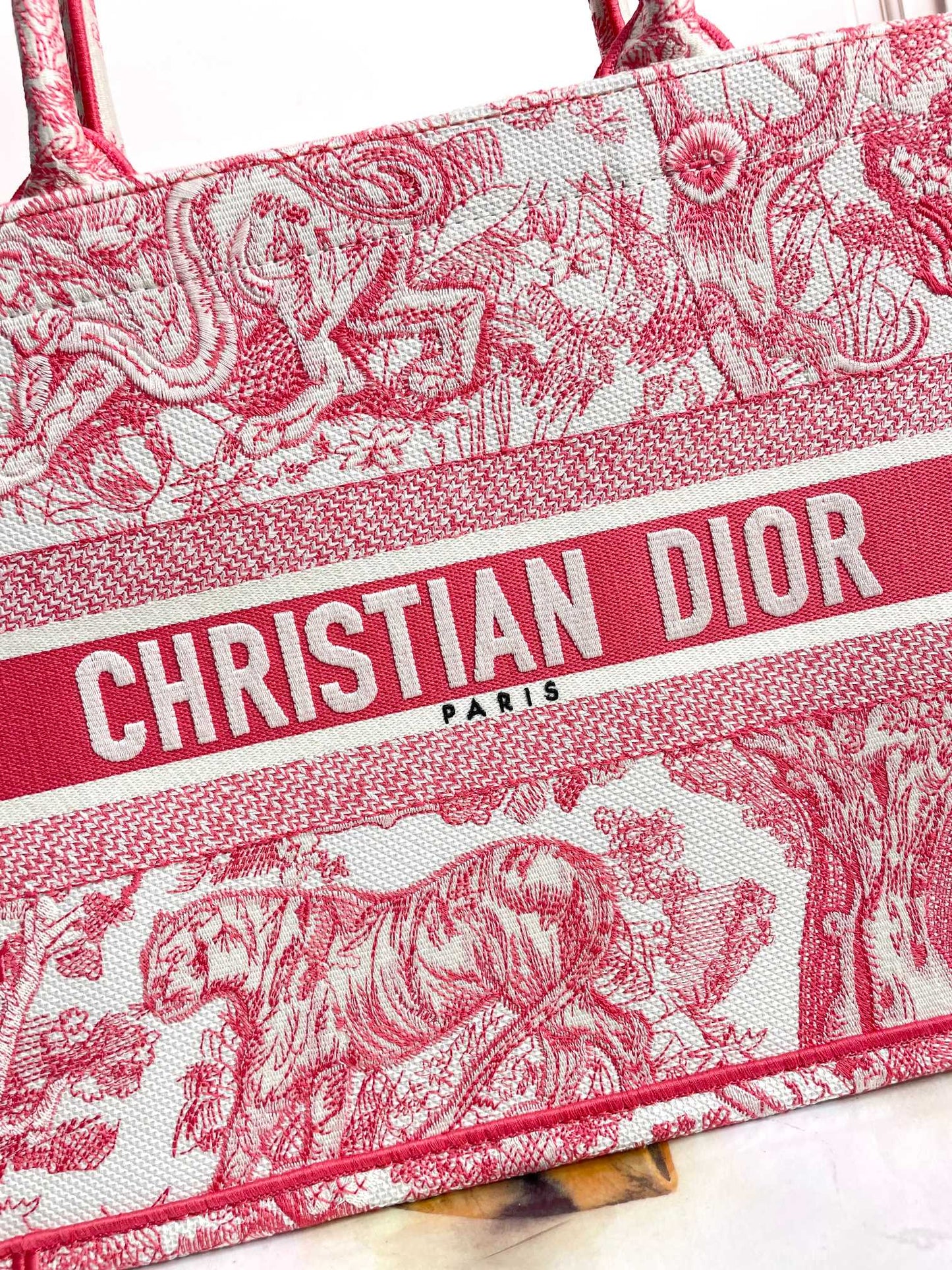 Christian Dior Large Book Tote Bag in Red Toile de Jouy Embroidery