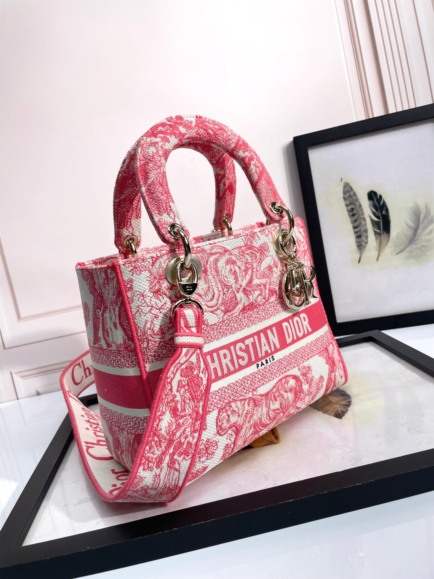 Christian Dior Medium Lady D-Lite Bag - Pink Toile de Jouy Embroidery