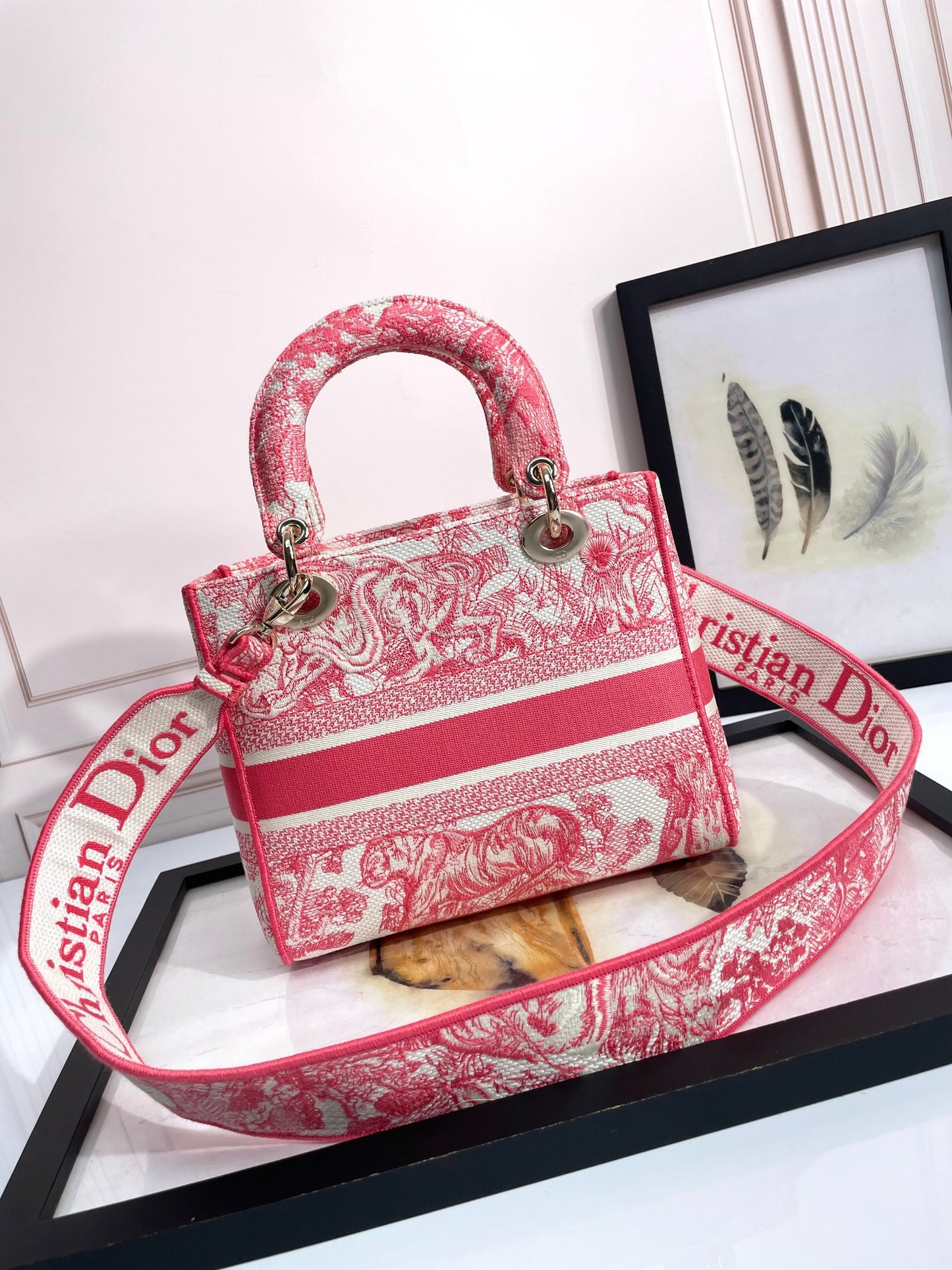 Christian Dior Lady D-Lite Bag Pink Toile de Jouy Embroidery