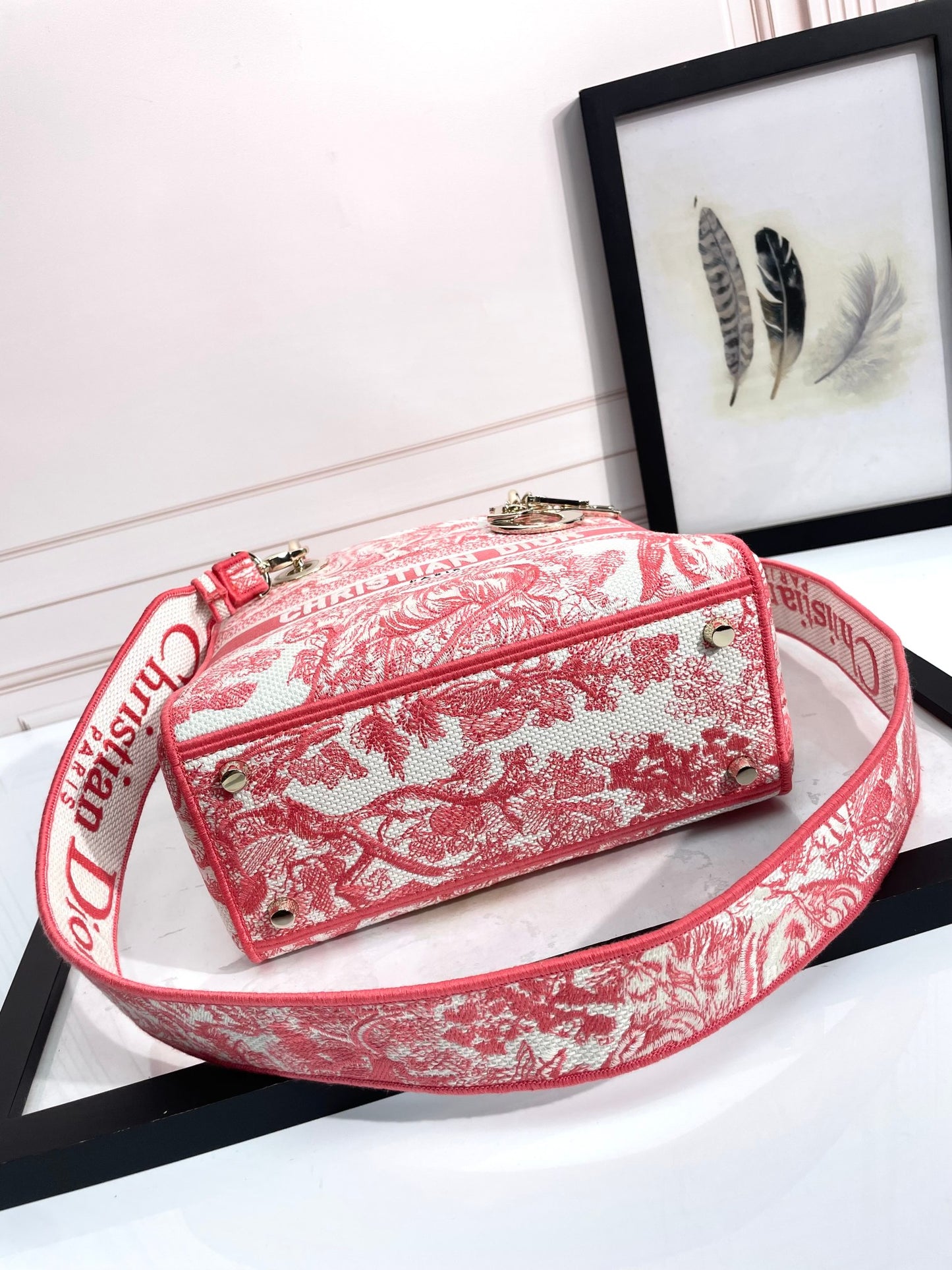Christian Dior Medium Lady D-Lite Bag Pink Toile de Jouy Reverse Embroidery